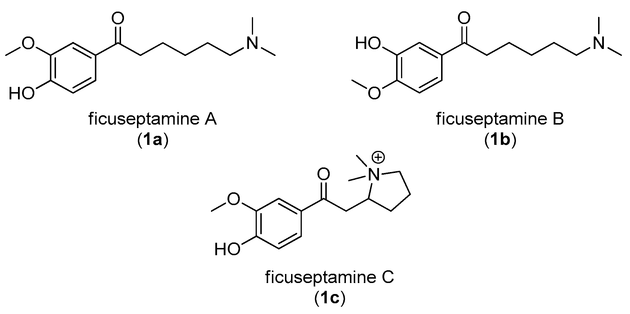 Molecules 23 01865 g001