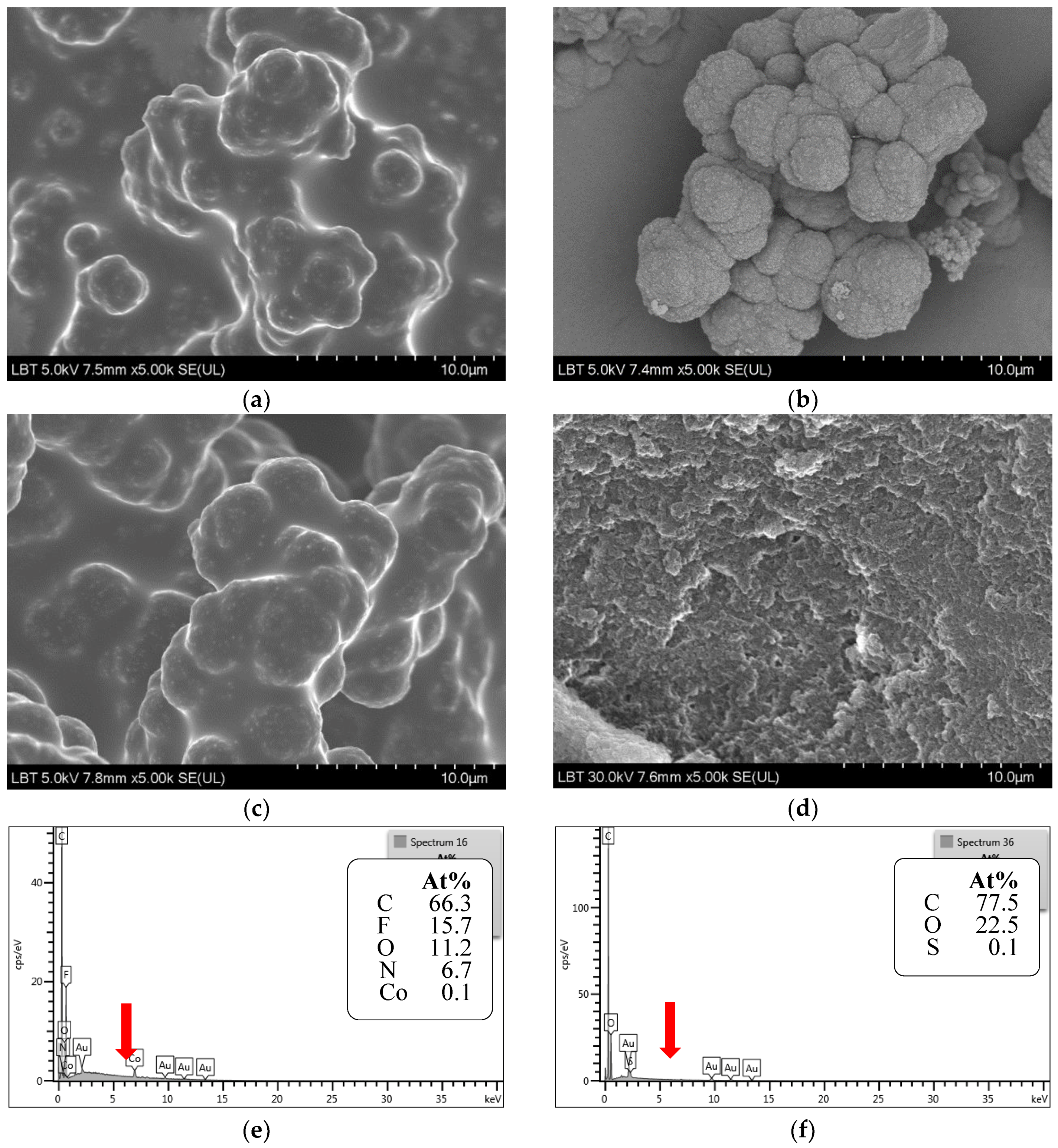 Molecules 23 01875 g002 Molecules 23 01875 g002