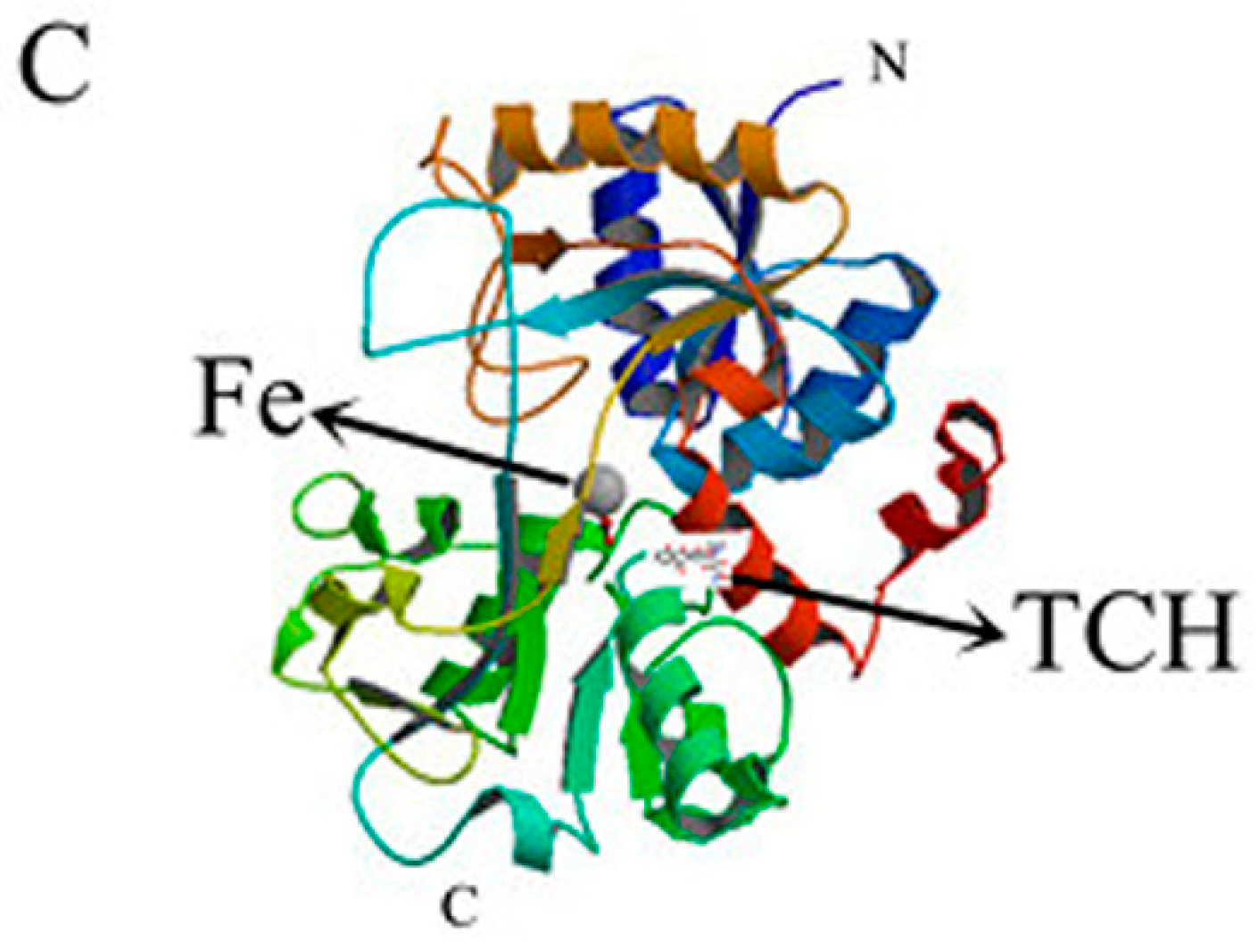 Molecules 23 01900 g008b
