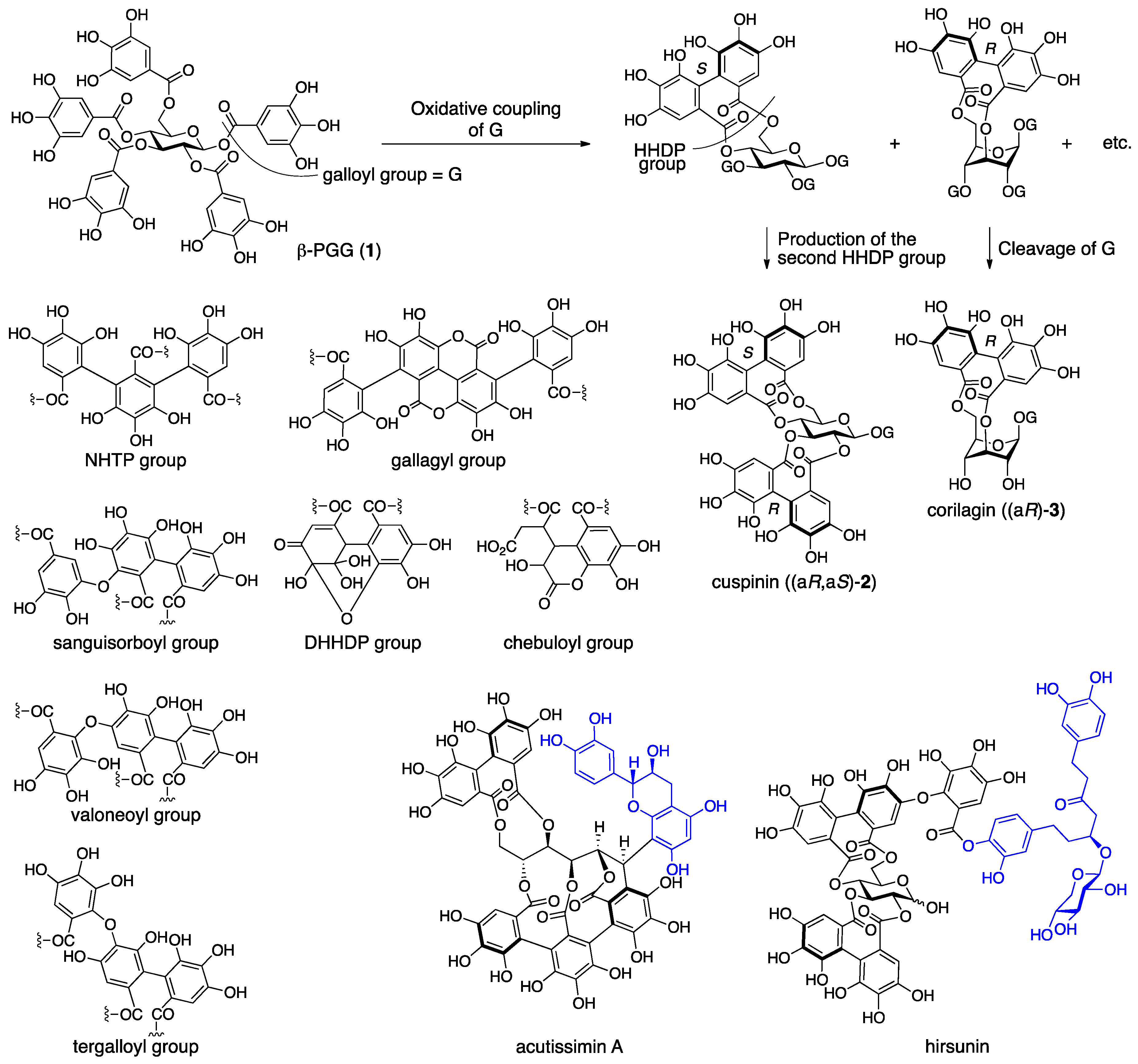 Molecules 23 01901 g001 550