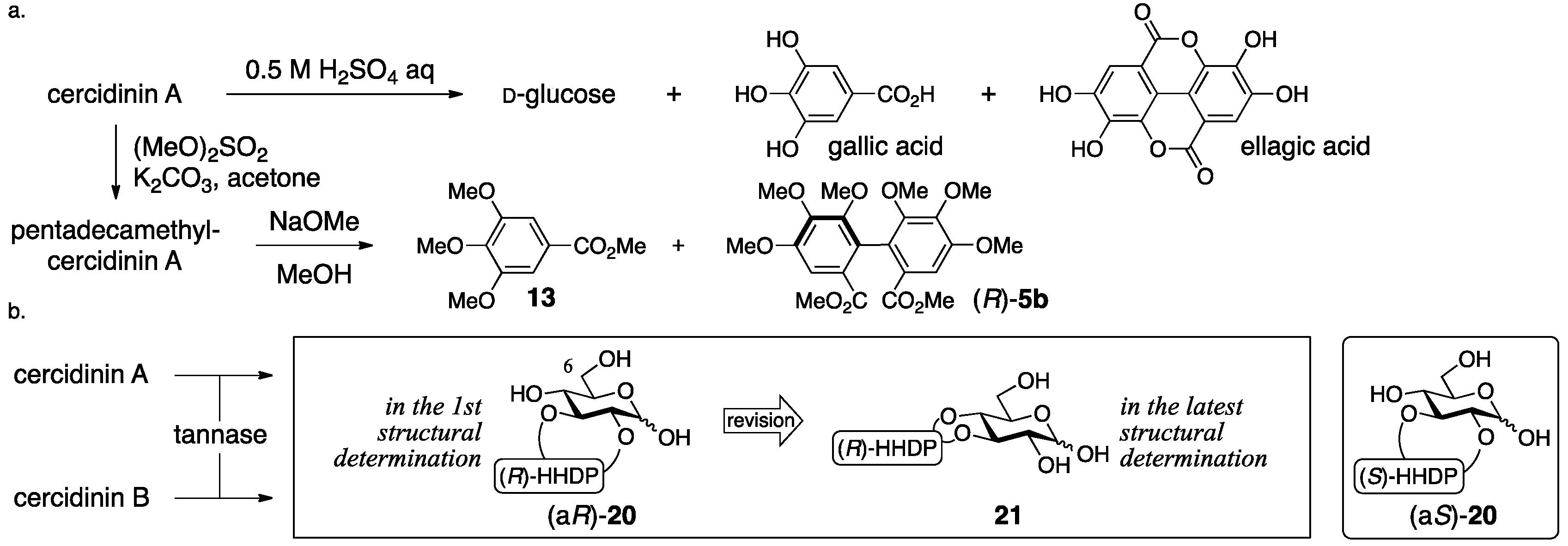 Molecules 23 01901 g010 550