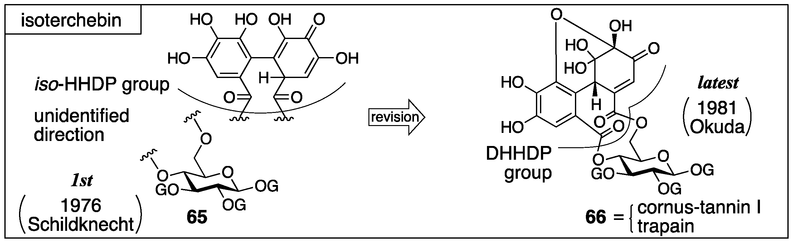 Molecules 23 01901 g027 550
