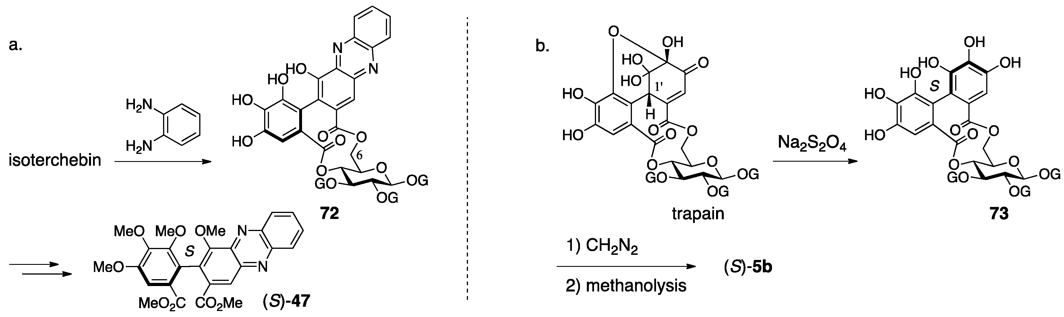 Molecules 23 01901 g029 550