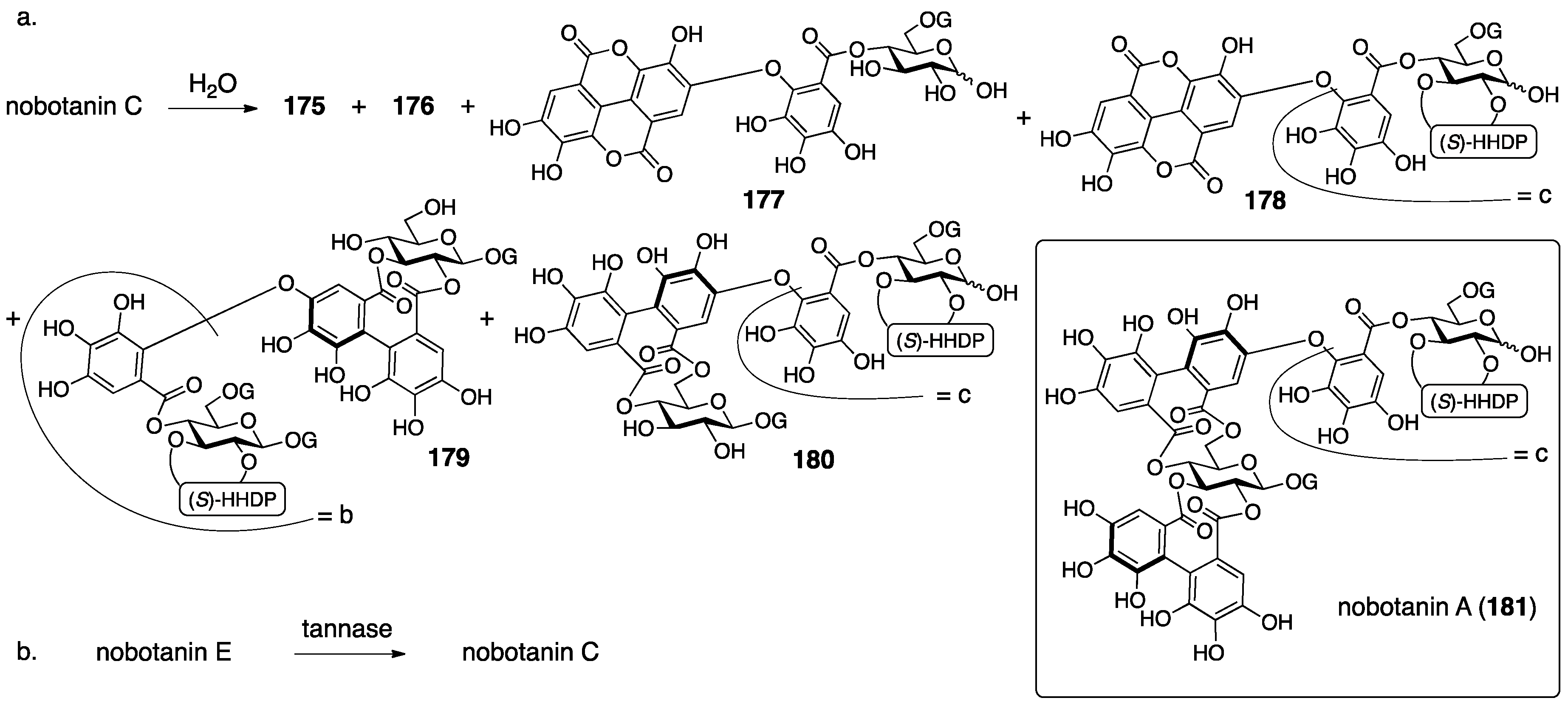 Molecules 23 01901 g055 550