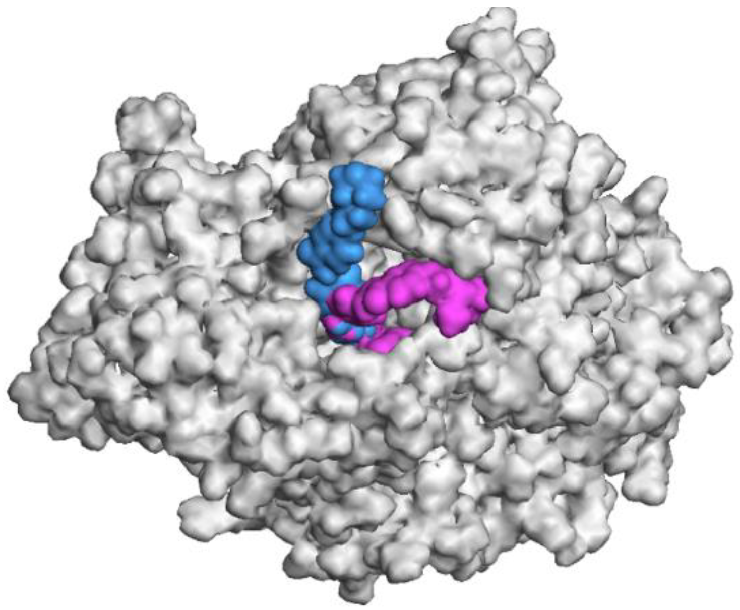 Molecules 23 01902 g003