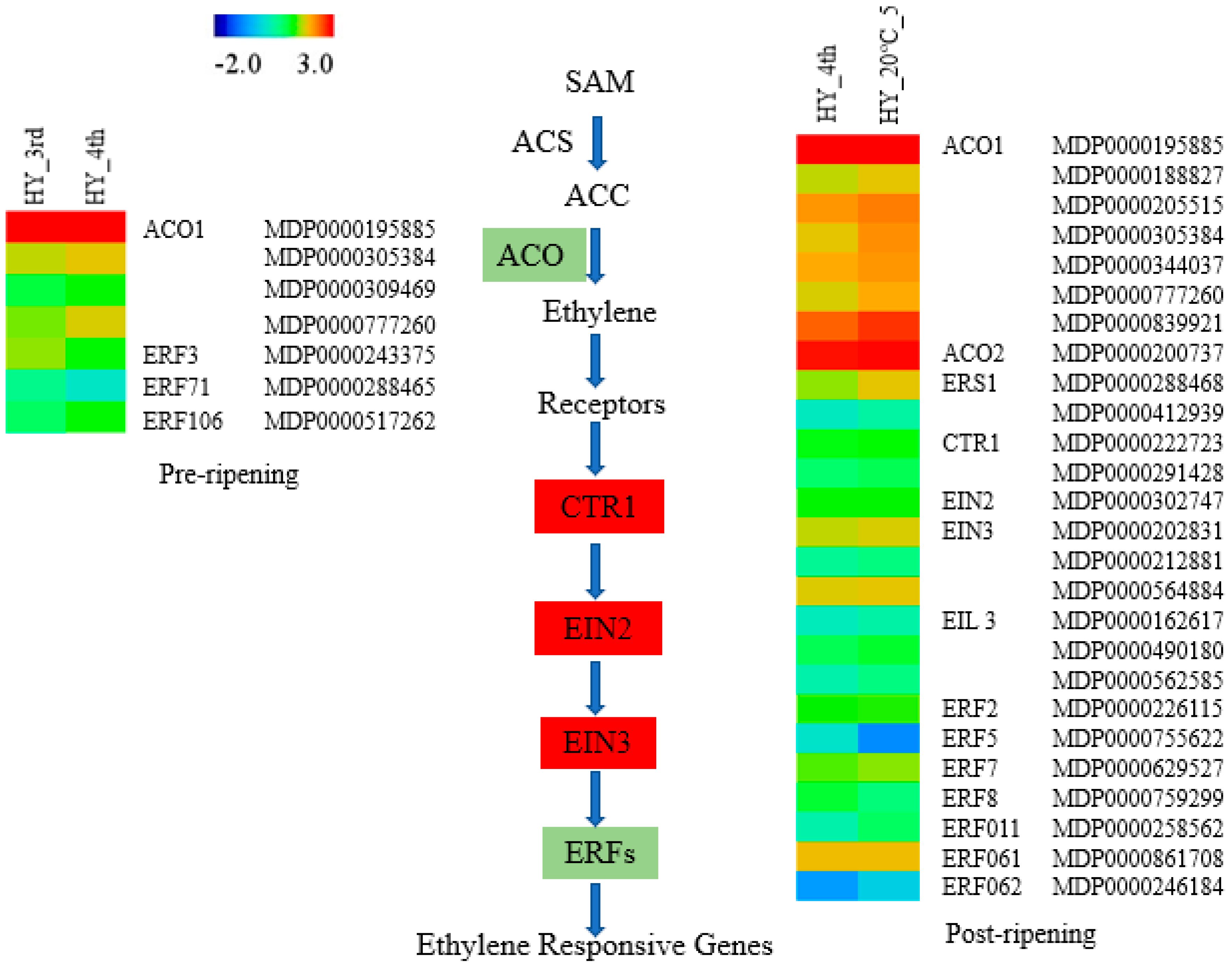 Molecules 23 01908 g006