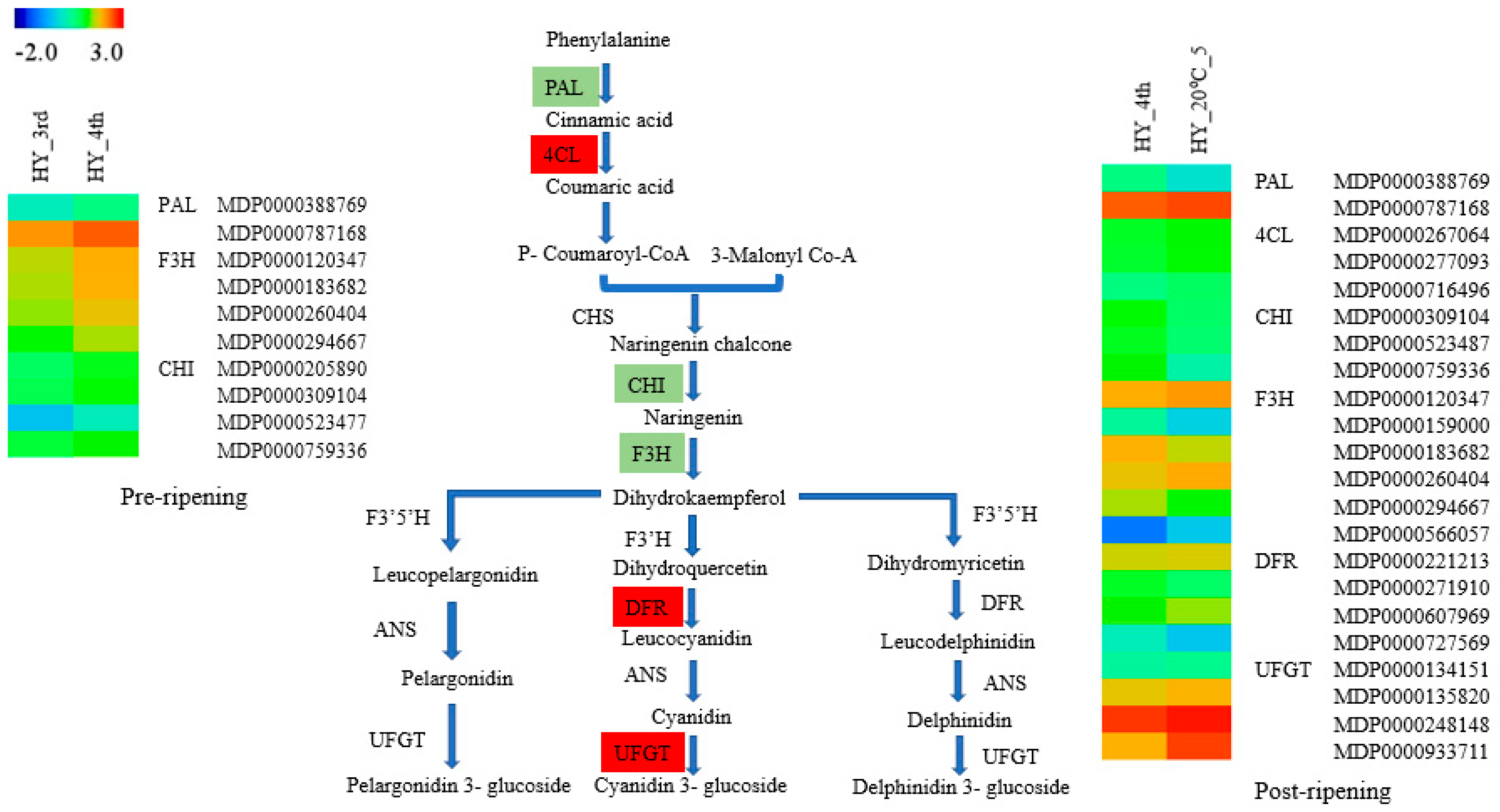Molecules 23 01908 g007