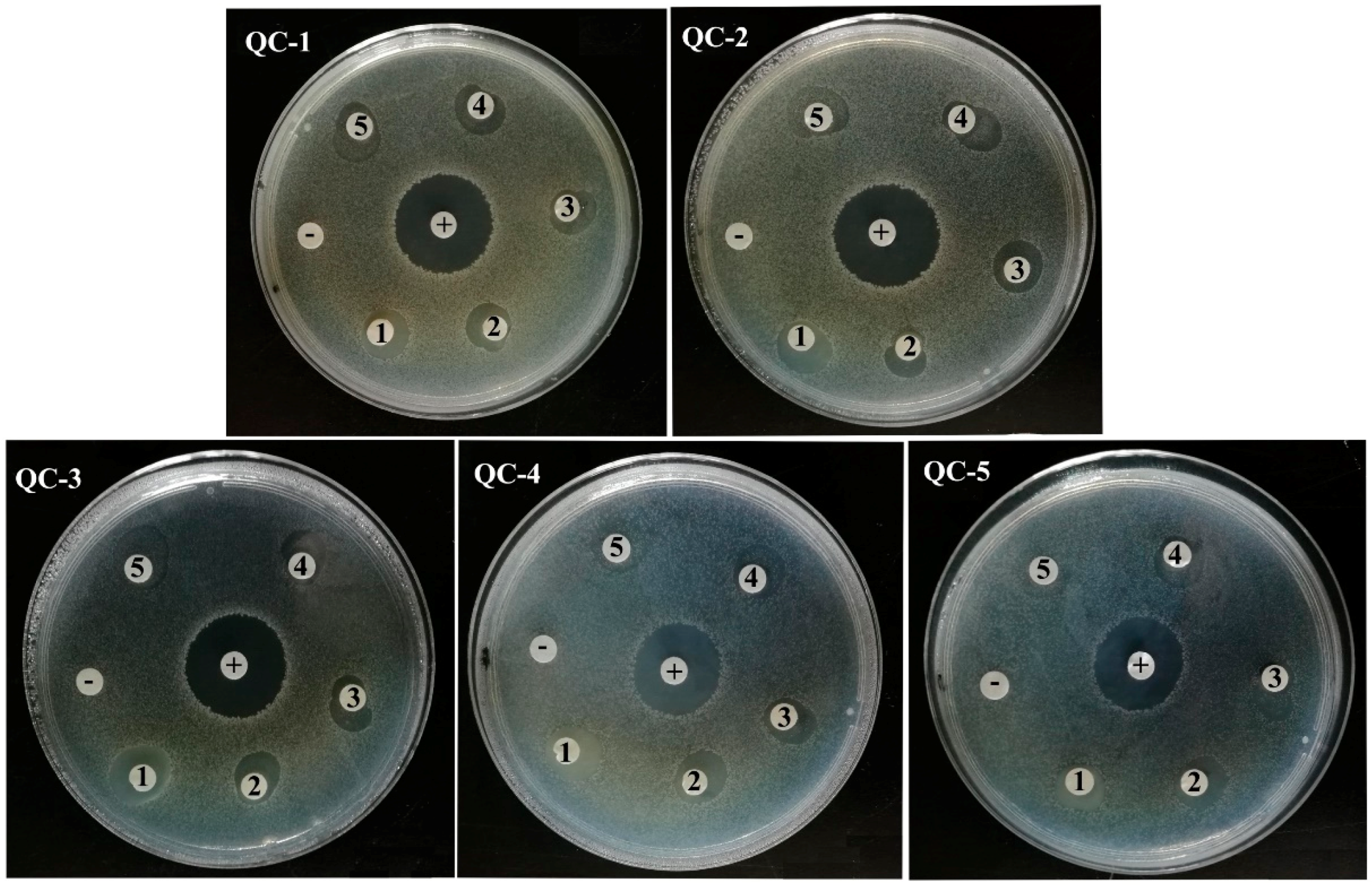 Molecules 23 01921 g005 Molecules 23 01921 g005