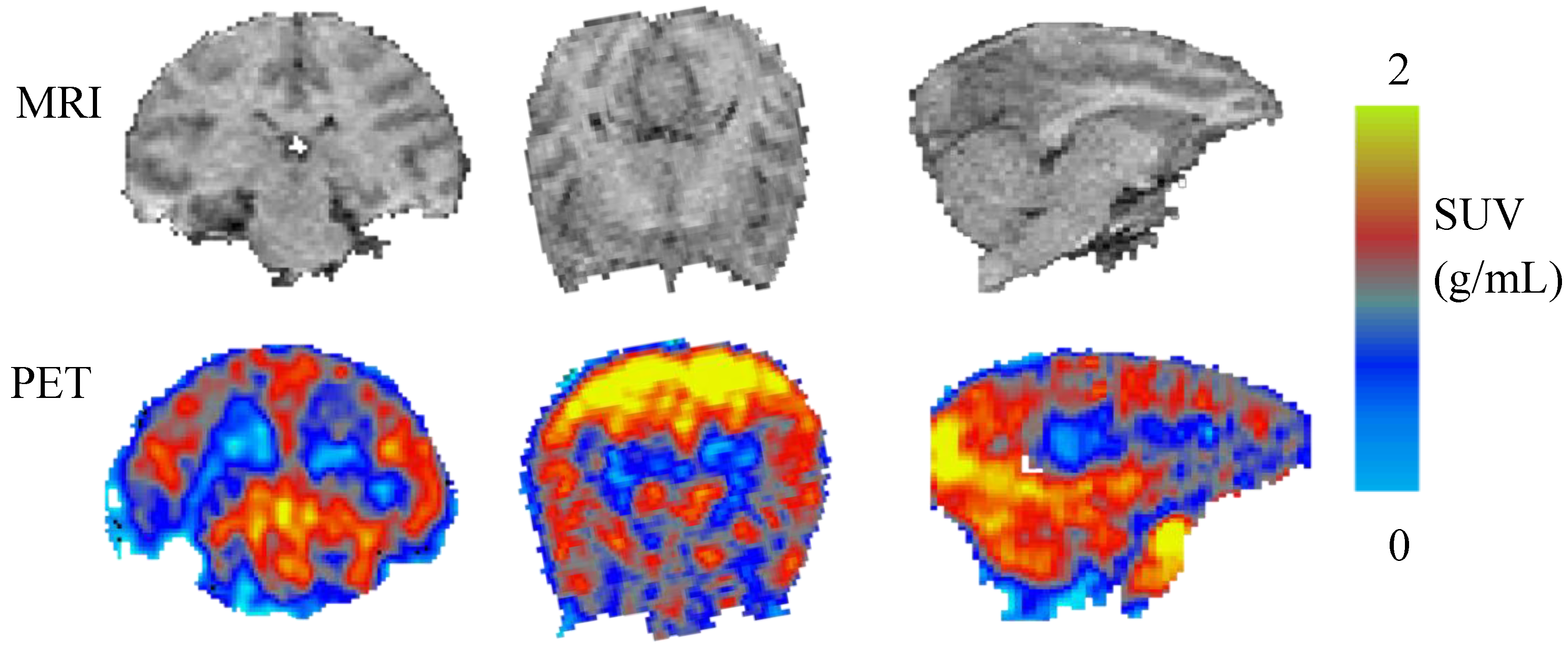 Molecules 23 01929 g002