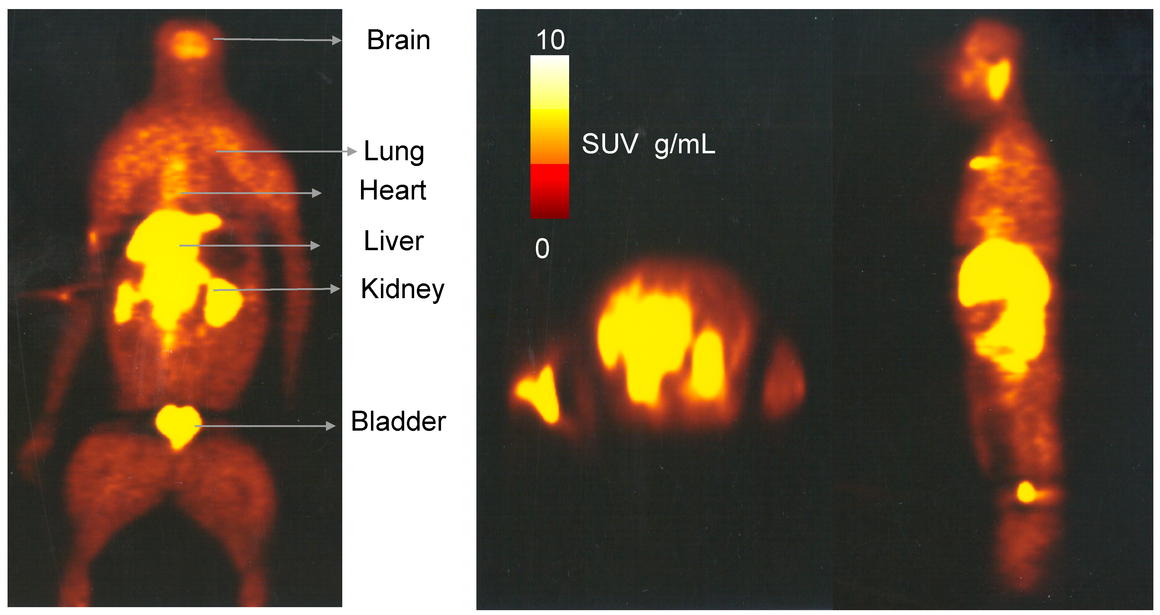Molecules 23 01929 g006
