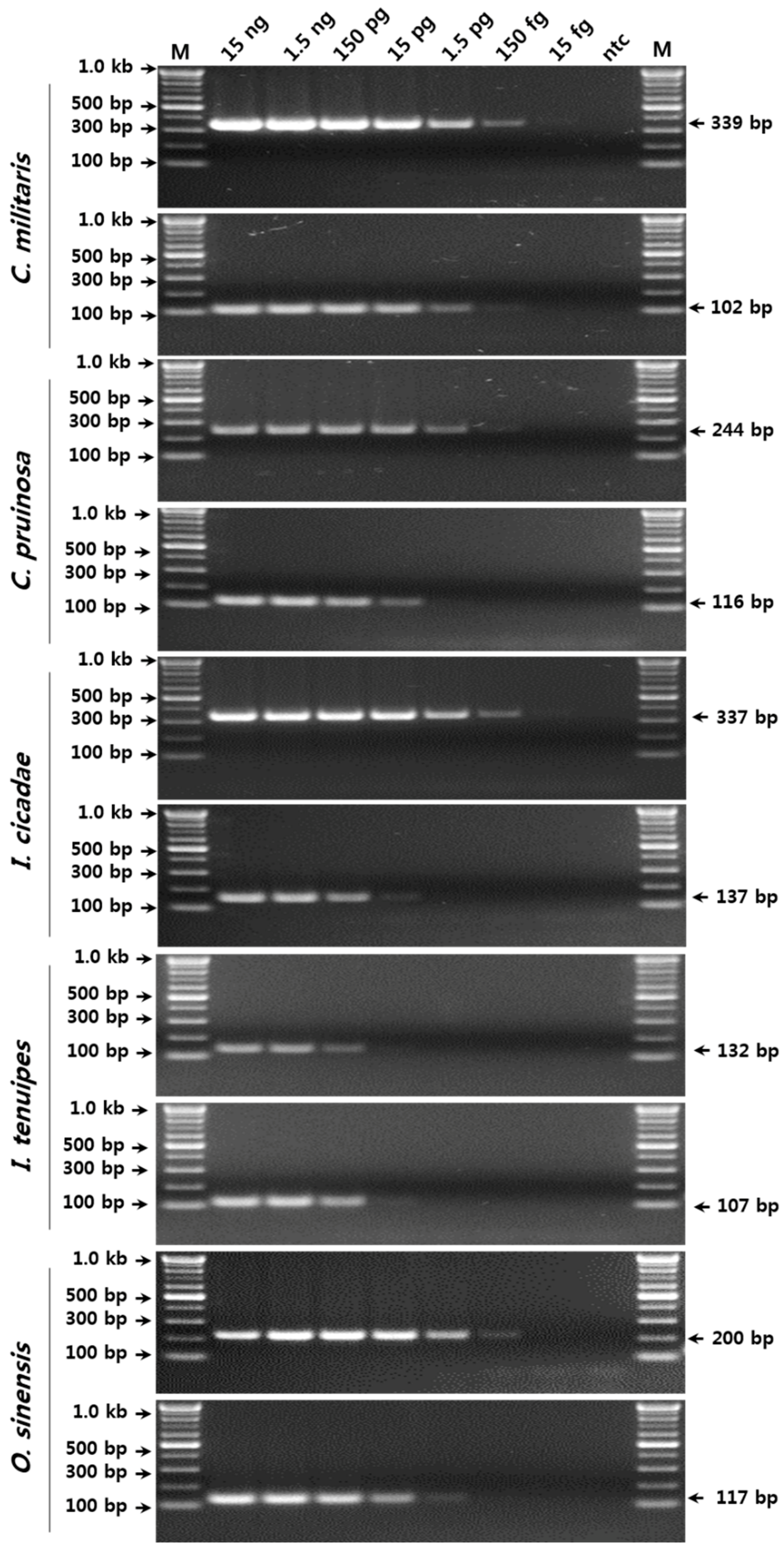 Molecules 23 01932 g002 Molecules 23 01932 g002