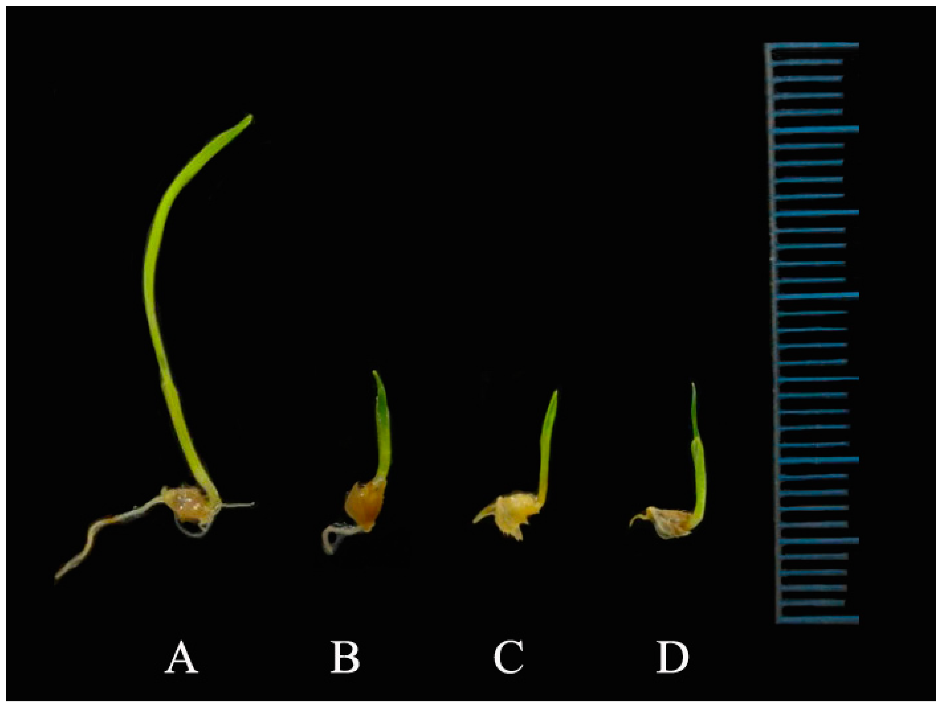 Molecules 23 01933 g009 550