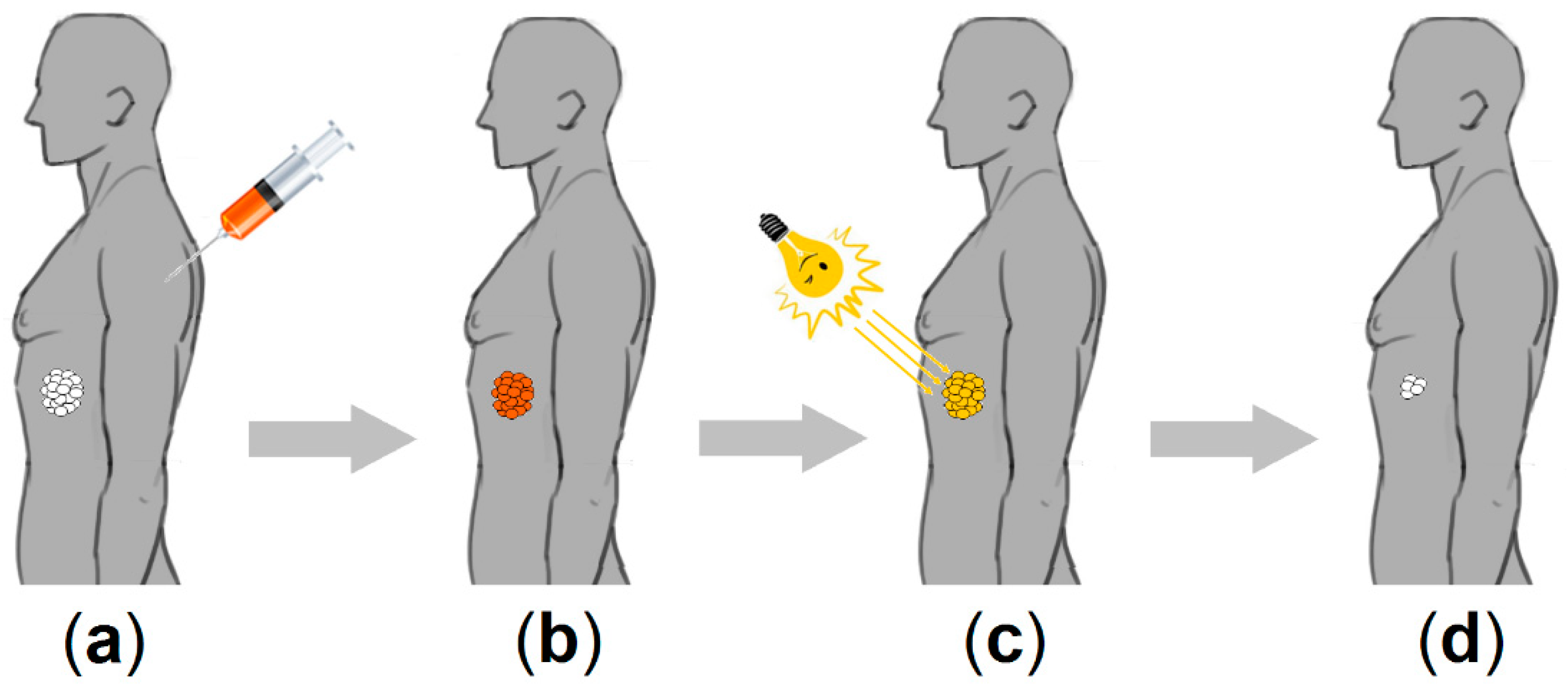 Molecules 23 01936 g001