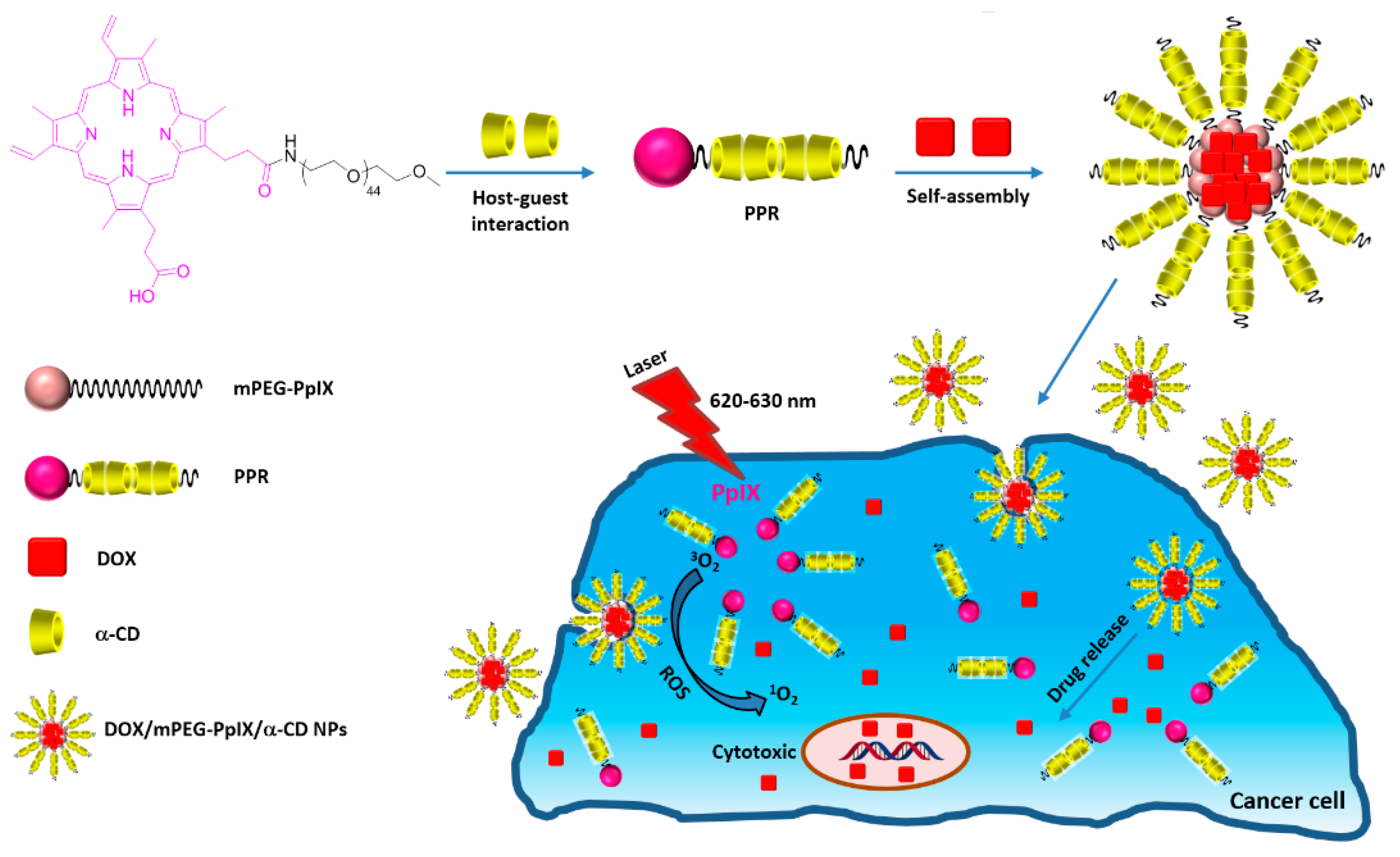 Molecules 23 01936 g051