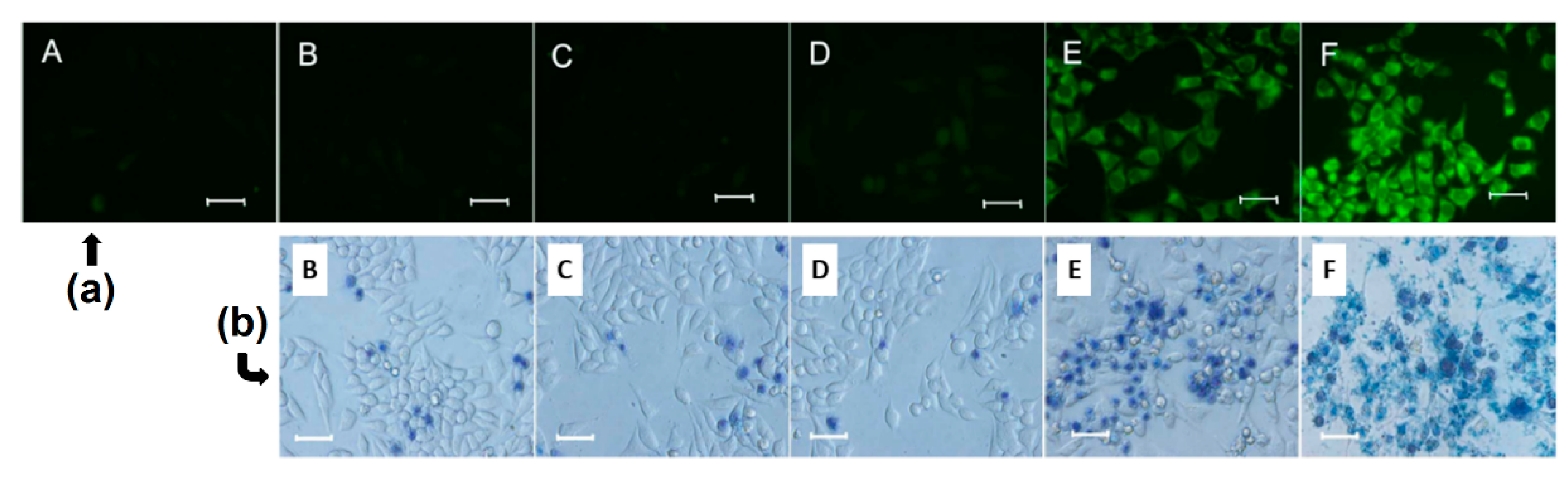 Molecules 23 01936 g056
