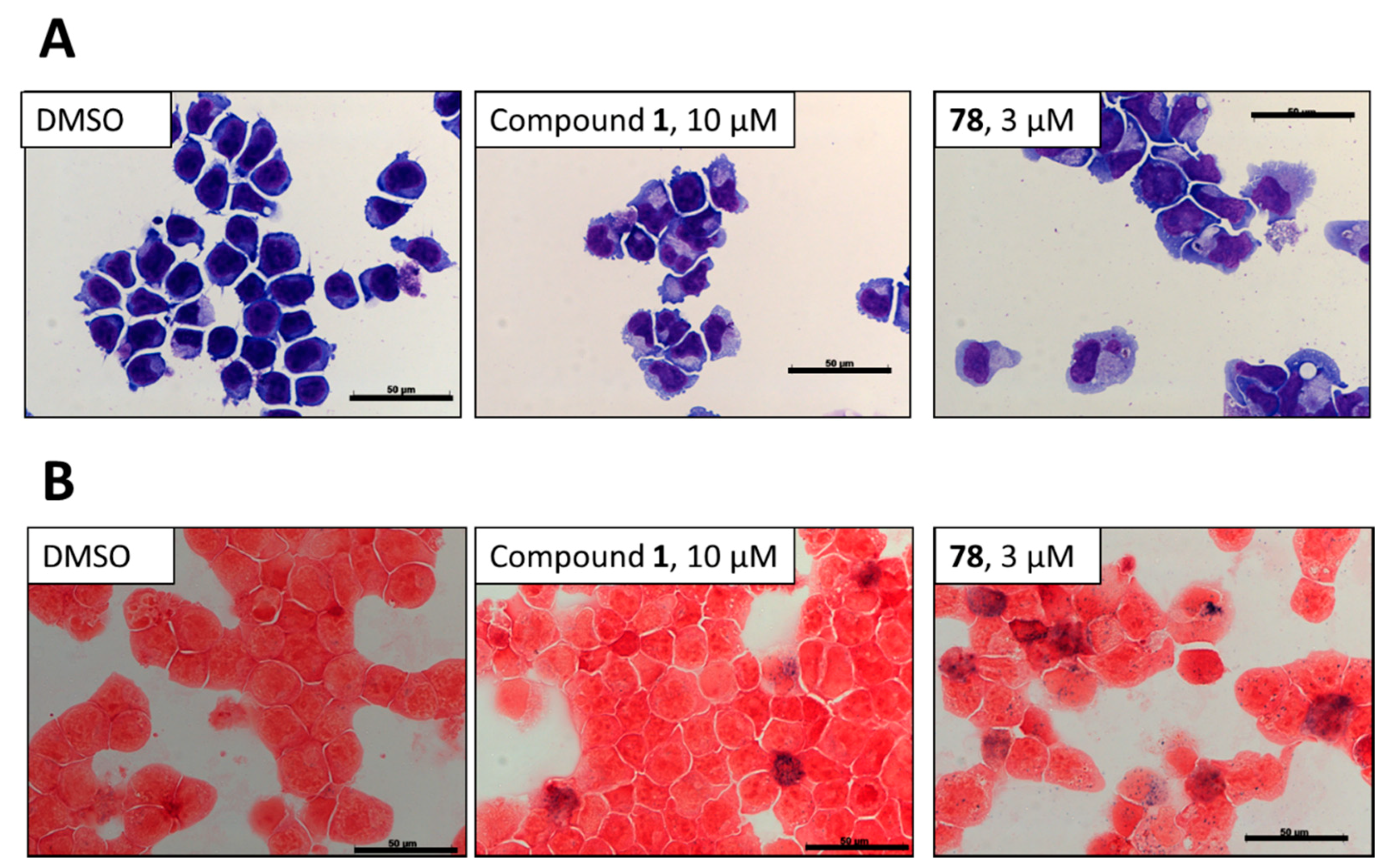 Molecules 23 01938 g003 Molecules 23 01938 g003