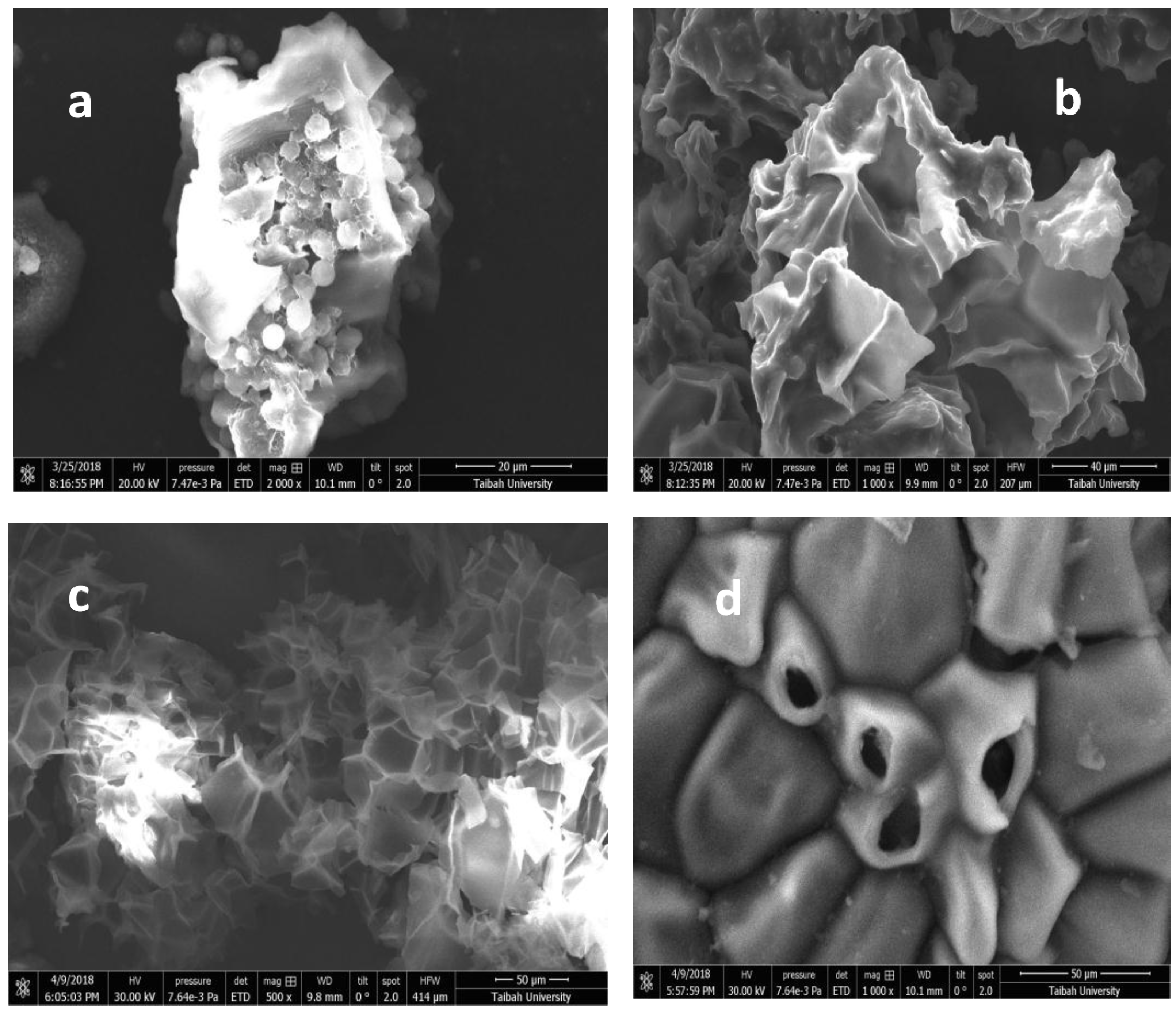 Molecules 23 01950 g014