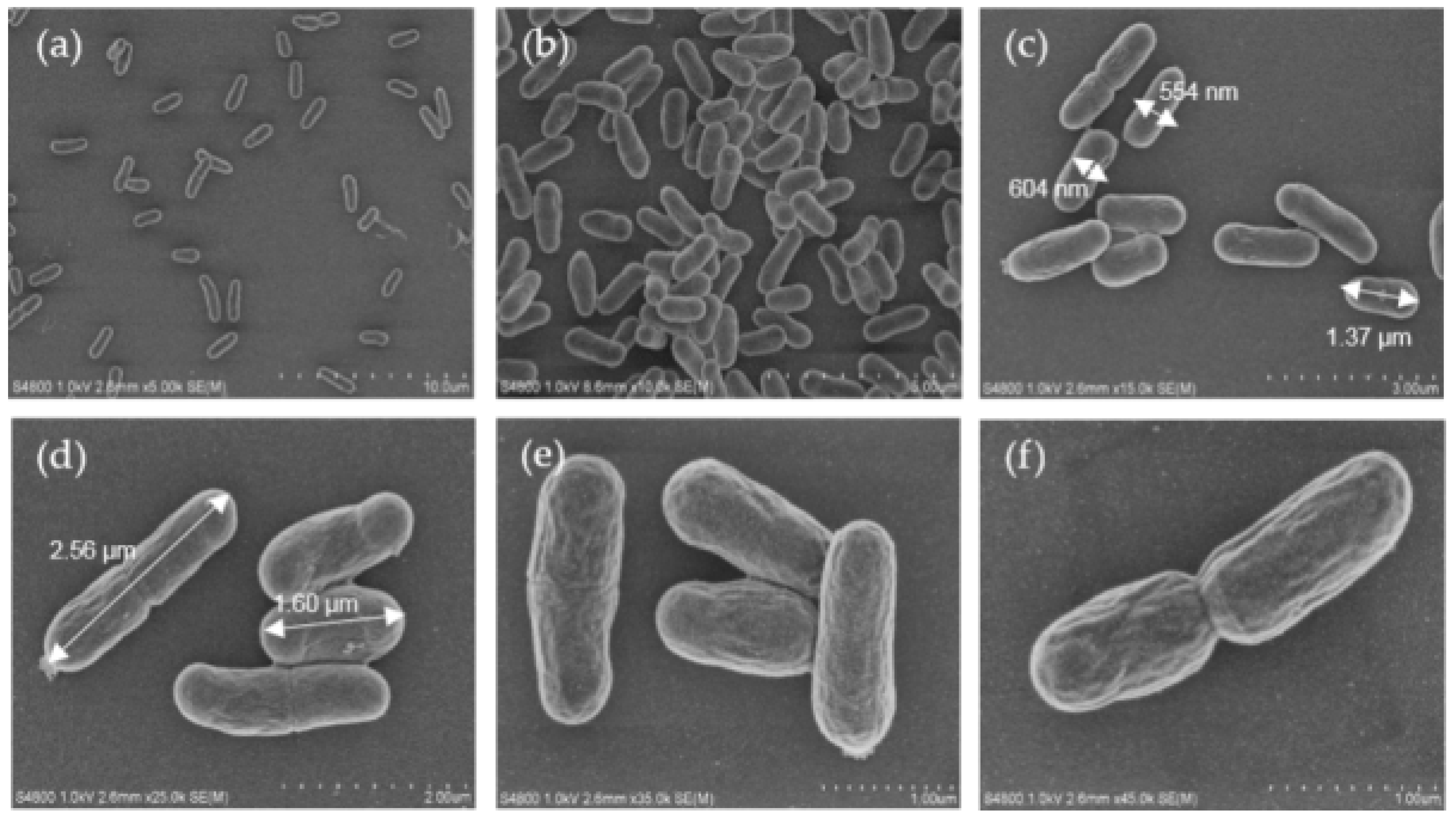 Molecules 23 01984 g001 Molecules 23 01984 g001