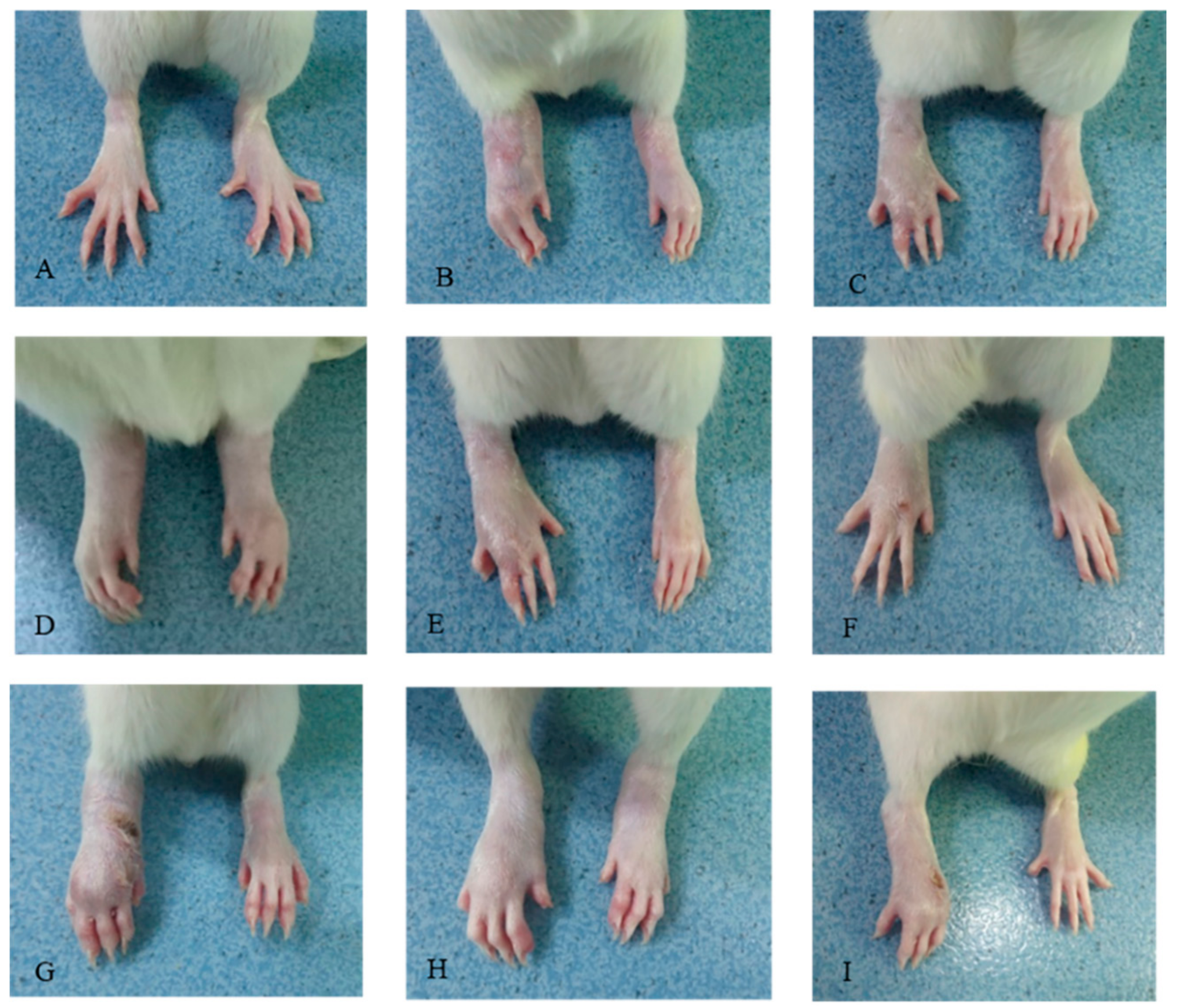 Molecules 23 01988 g002 Molecules 23 01988 g002