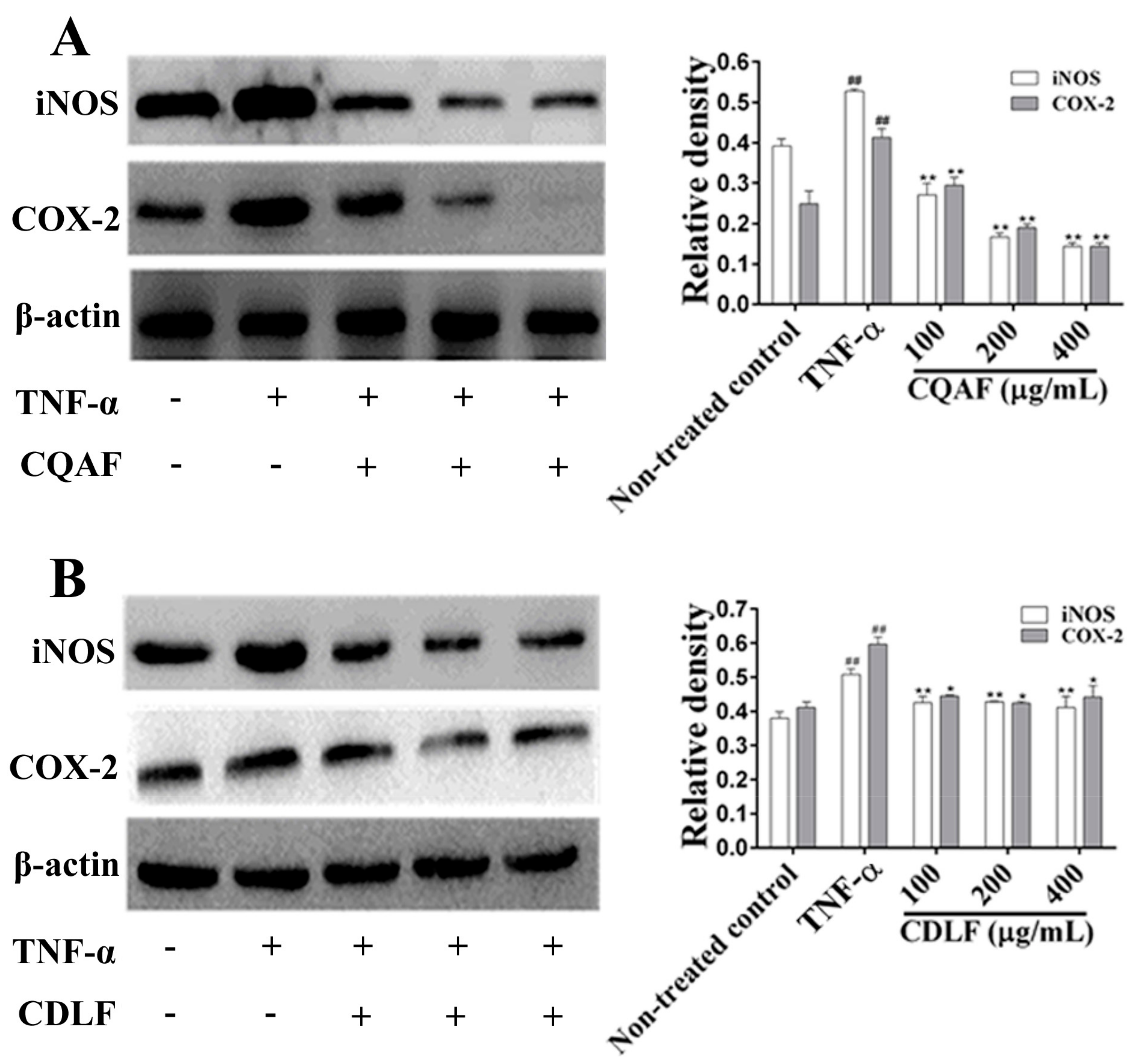 Molecules 23 01988 g007 Molecules 23 01988 g007