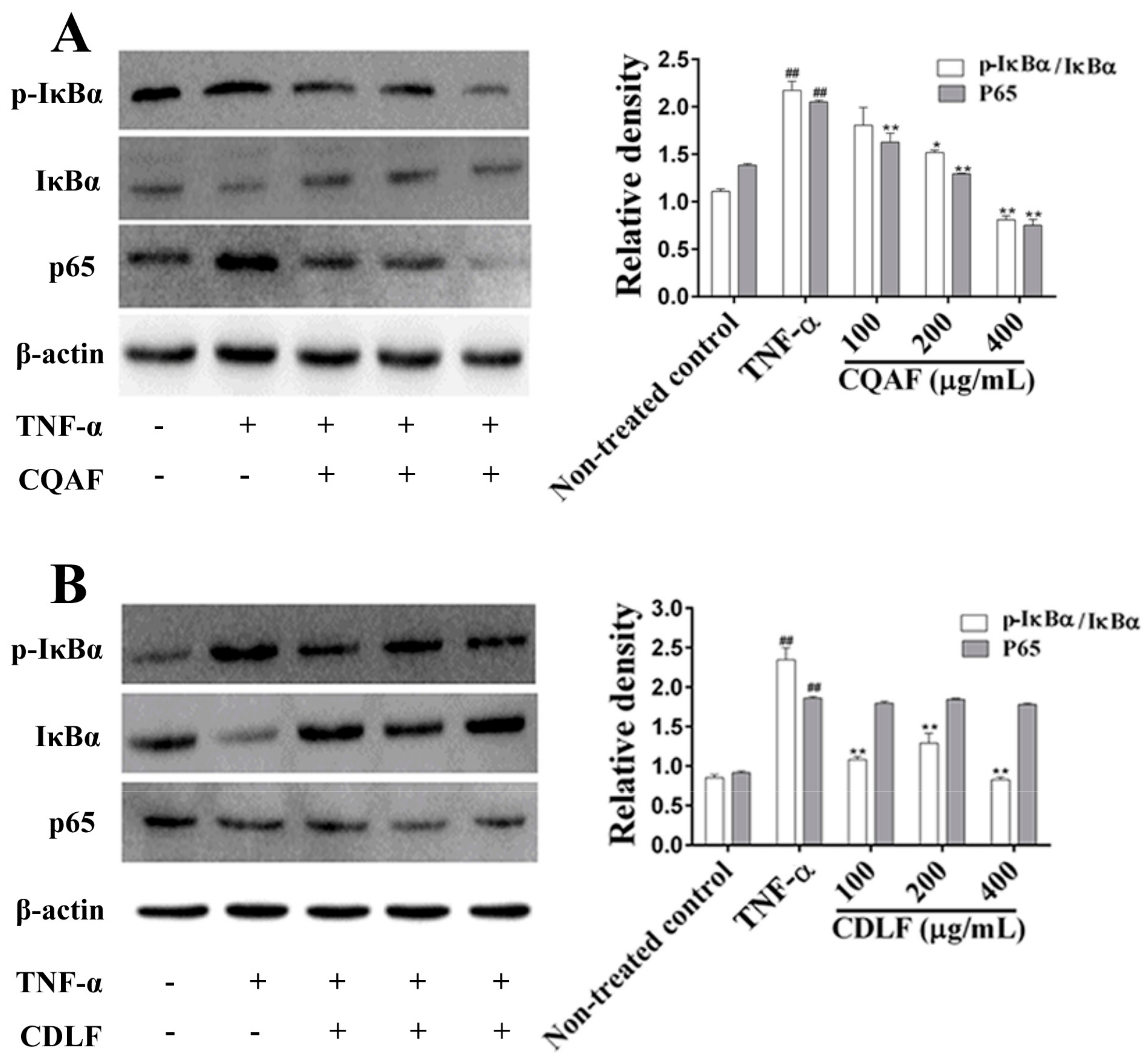 Molecules 23 01988 g008 Molecules 23 01988 g008