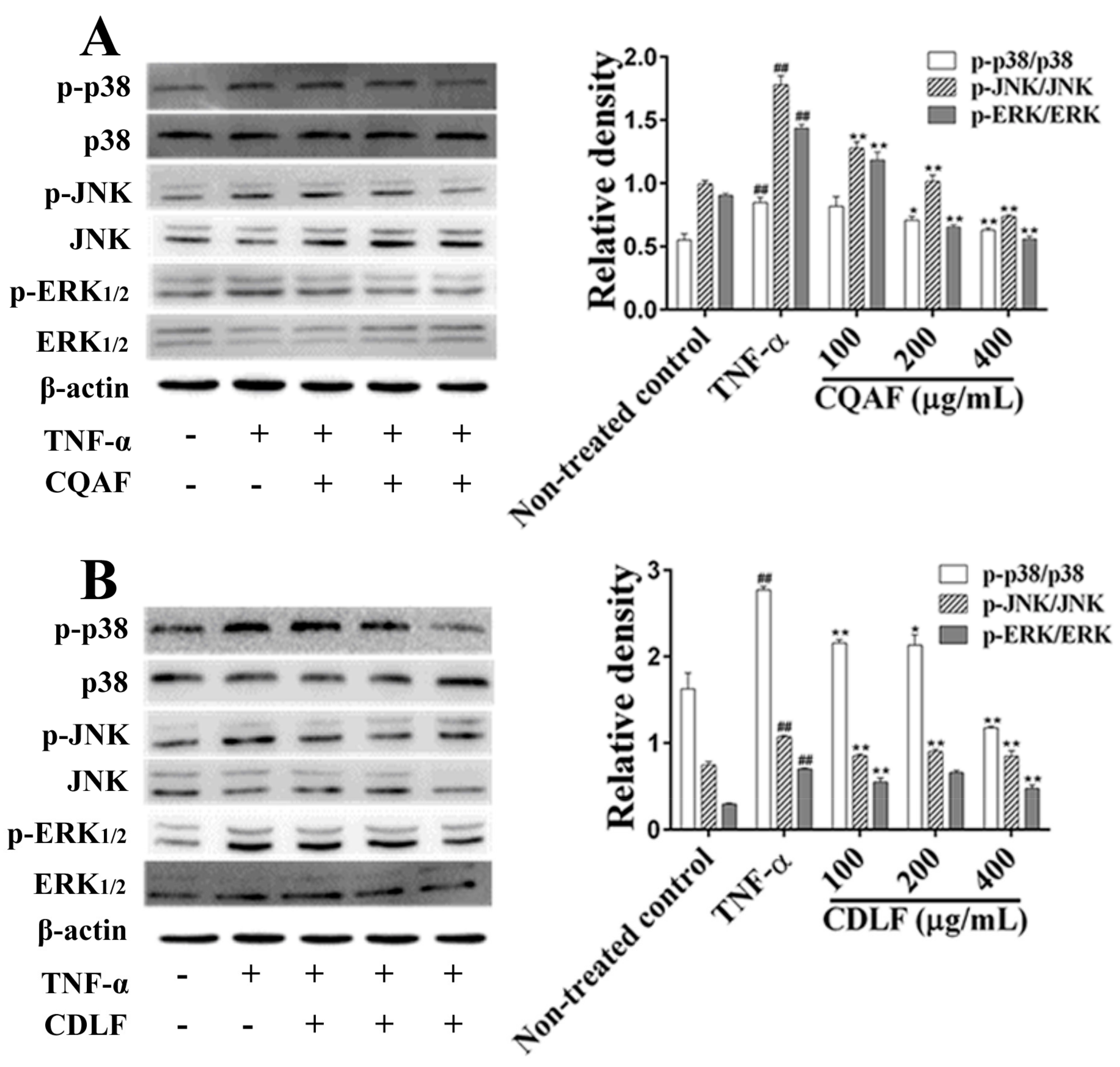 Molecules 23 01988 g009 Molecules 23 01988 g009