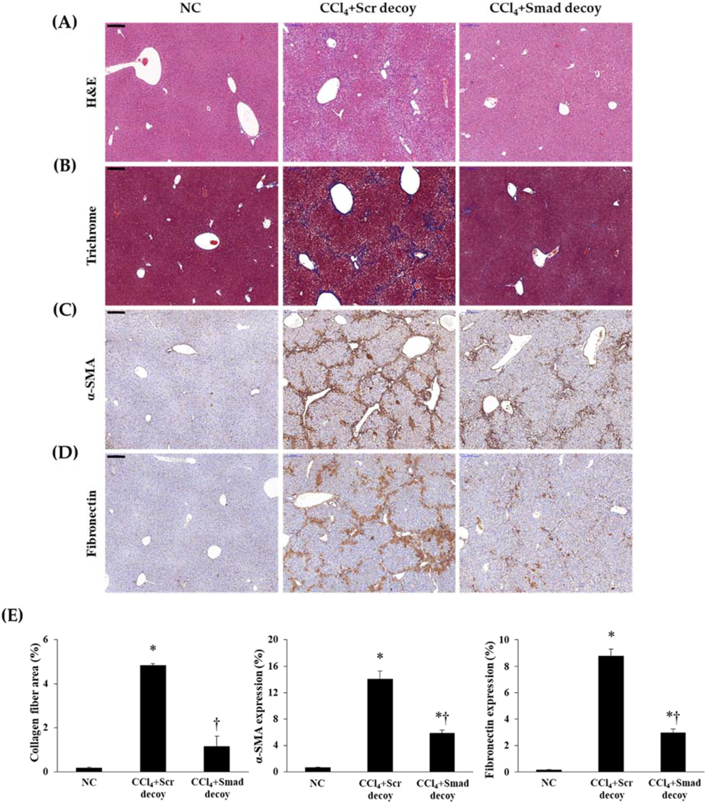Molecules 23 01991 g002 Molecules 23 01991 g002