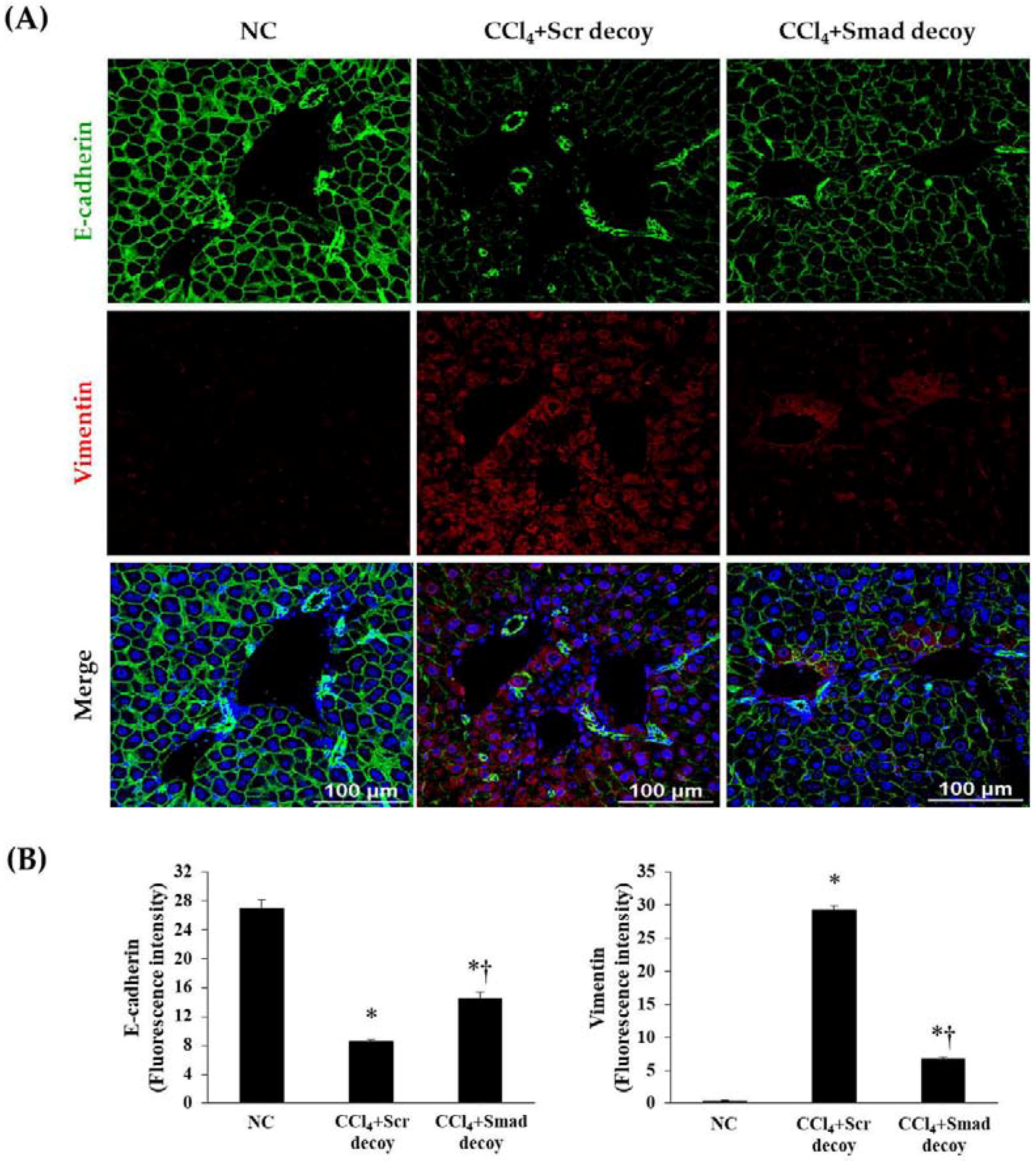 Molecules 23 01991 g004 Molecules 23 01991 g004