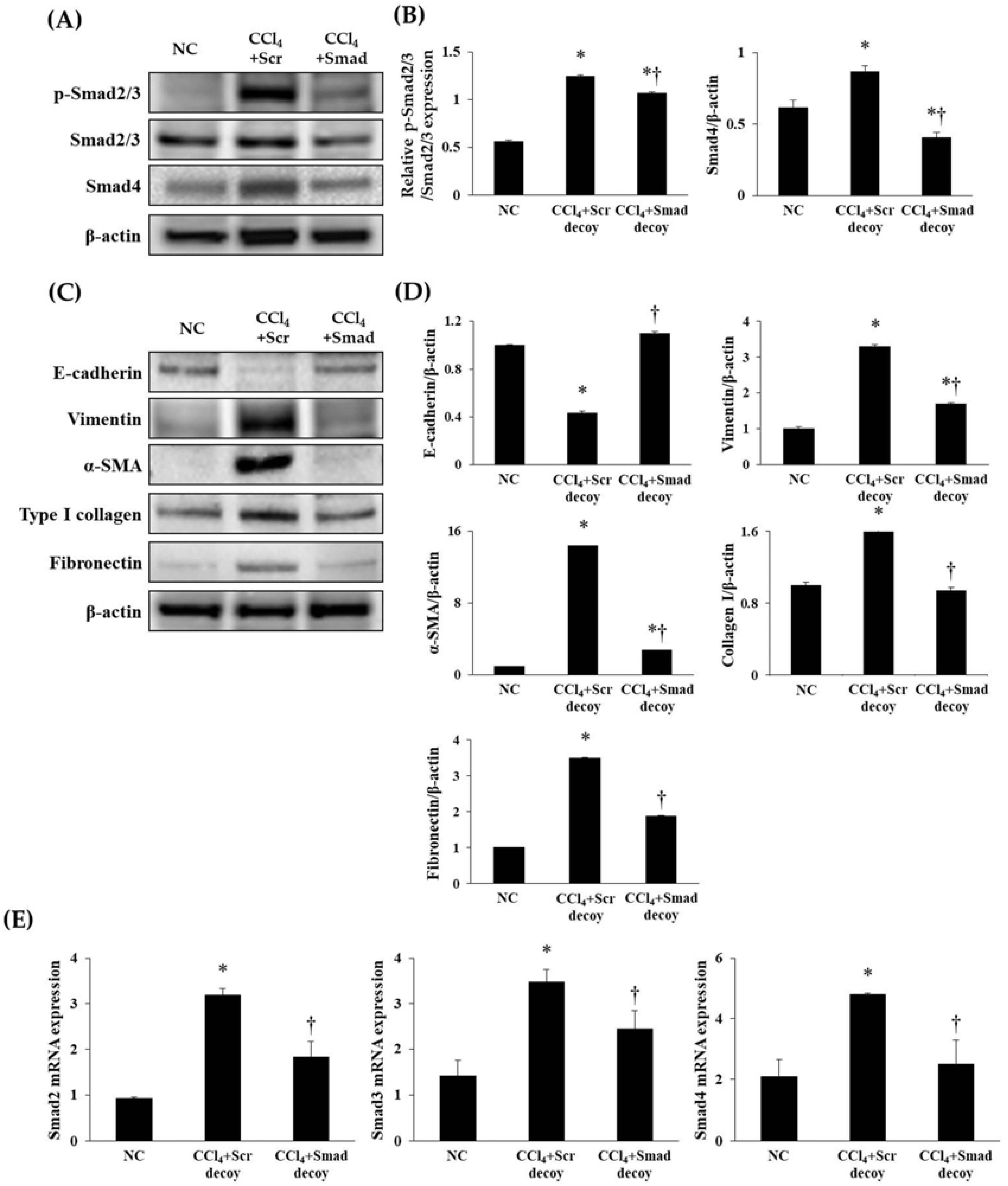 Molecules 23 01991 g005 Molecules 23 01991 g005