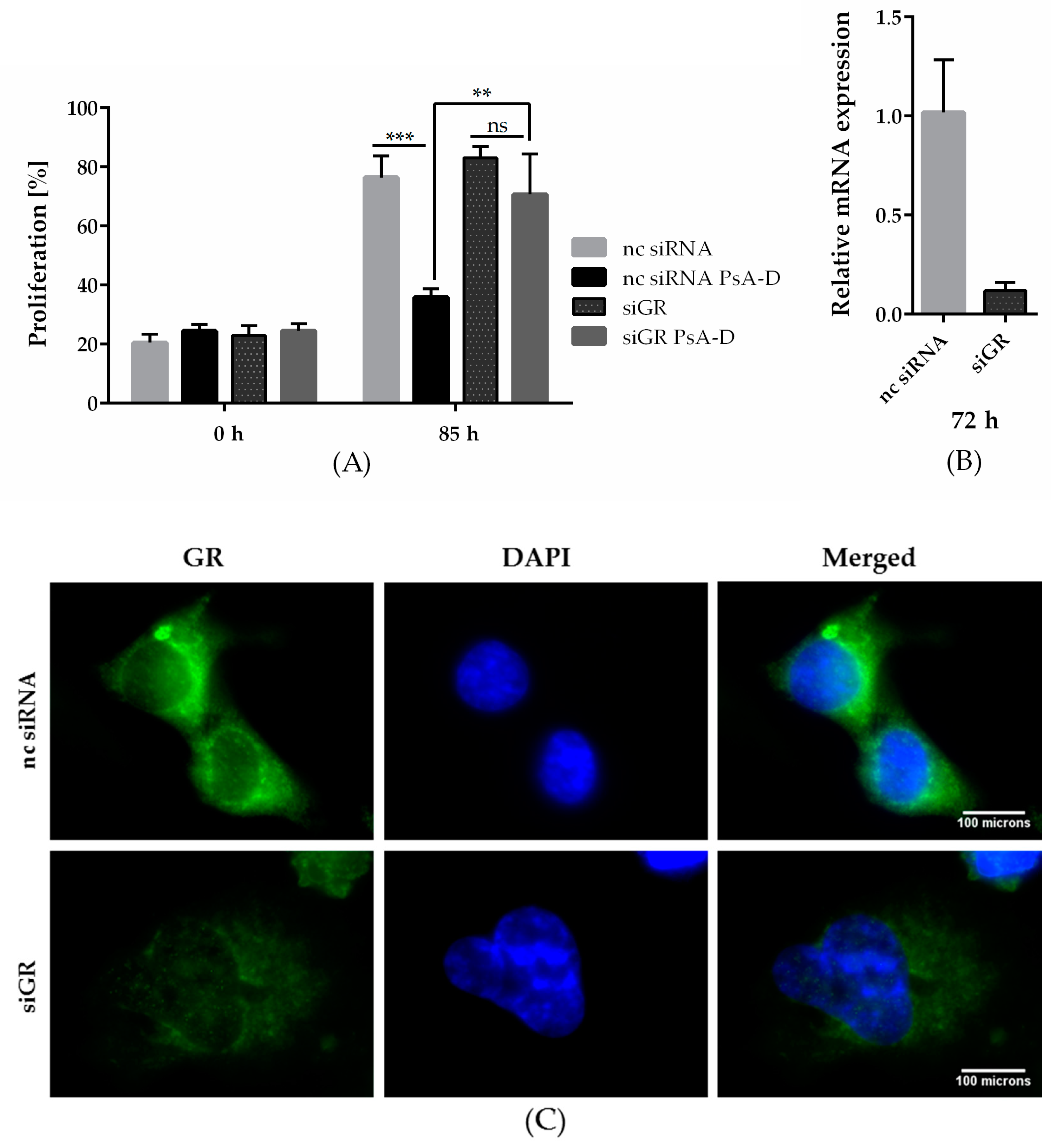 Molecules 23 01992 g002a