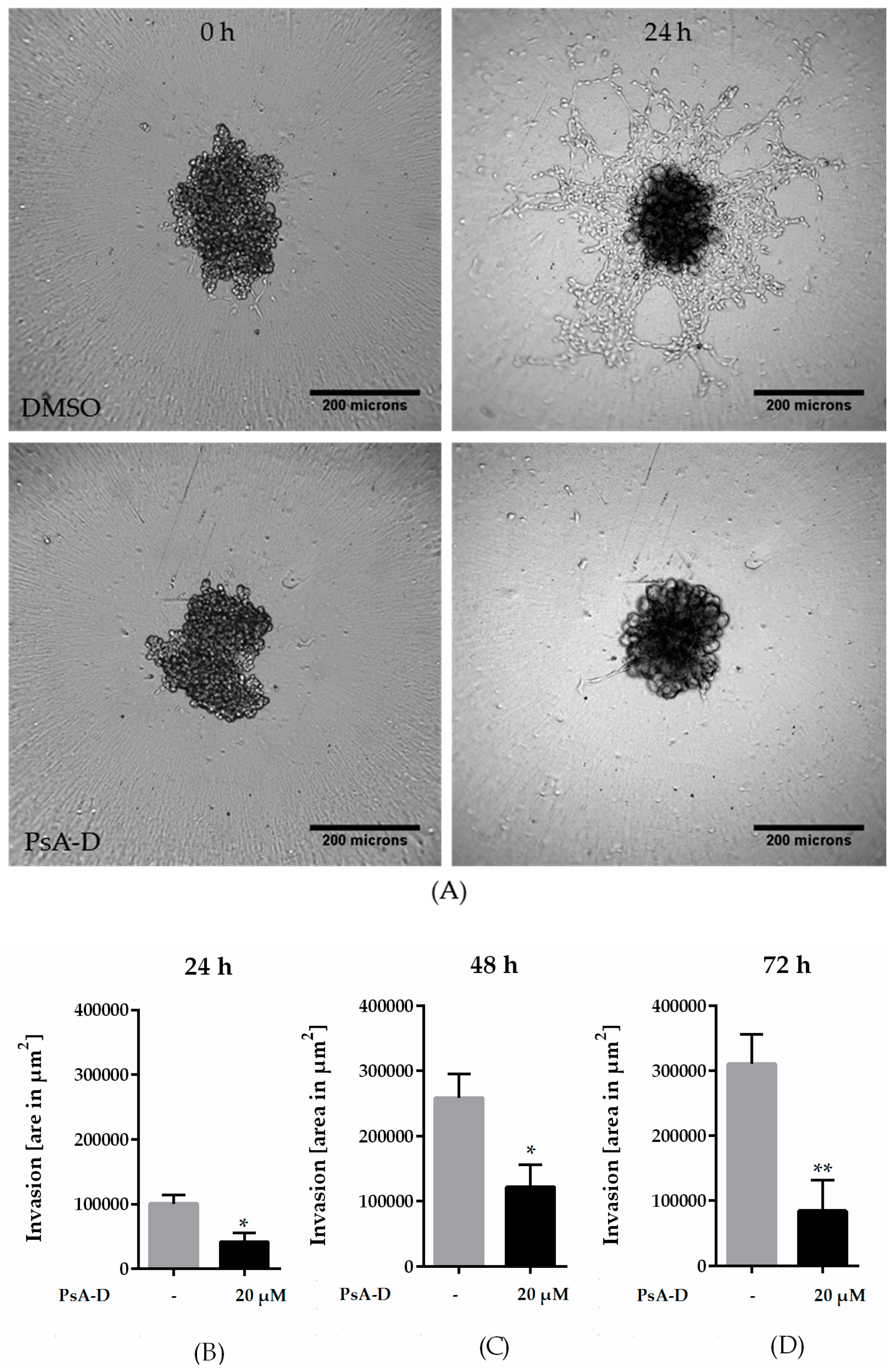 Molecules 23 01992 g003