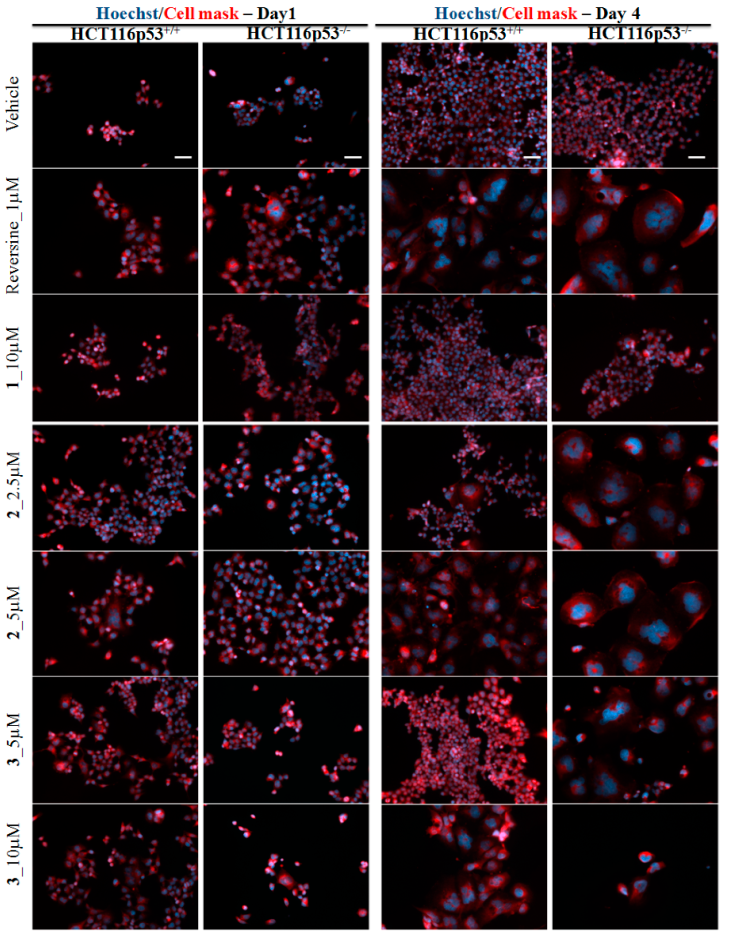 Molecules 23 01996 g003 Molecules 23 01996 g003