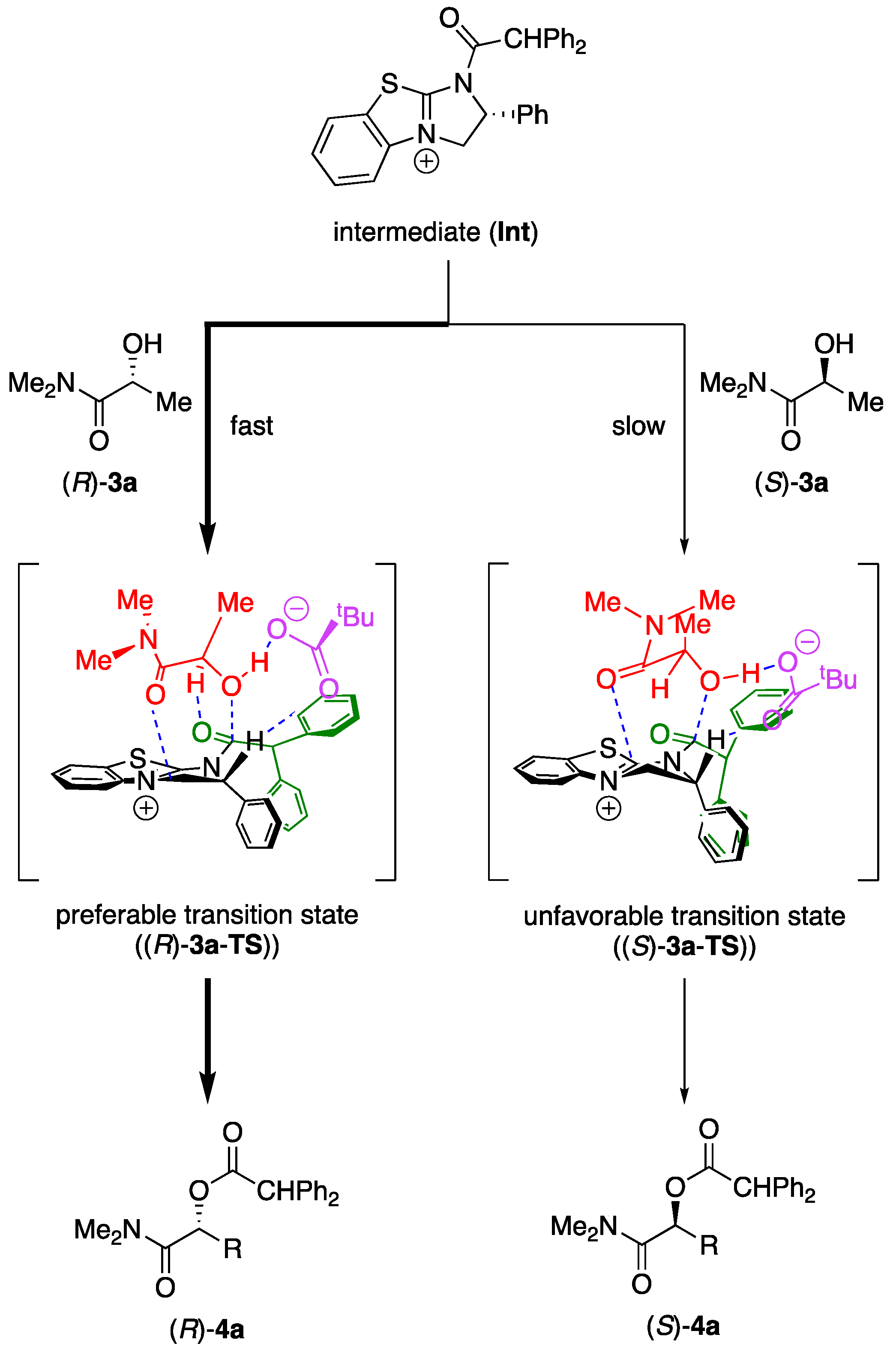 Molecules 23 02003 sch002 550