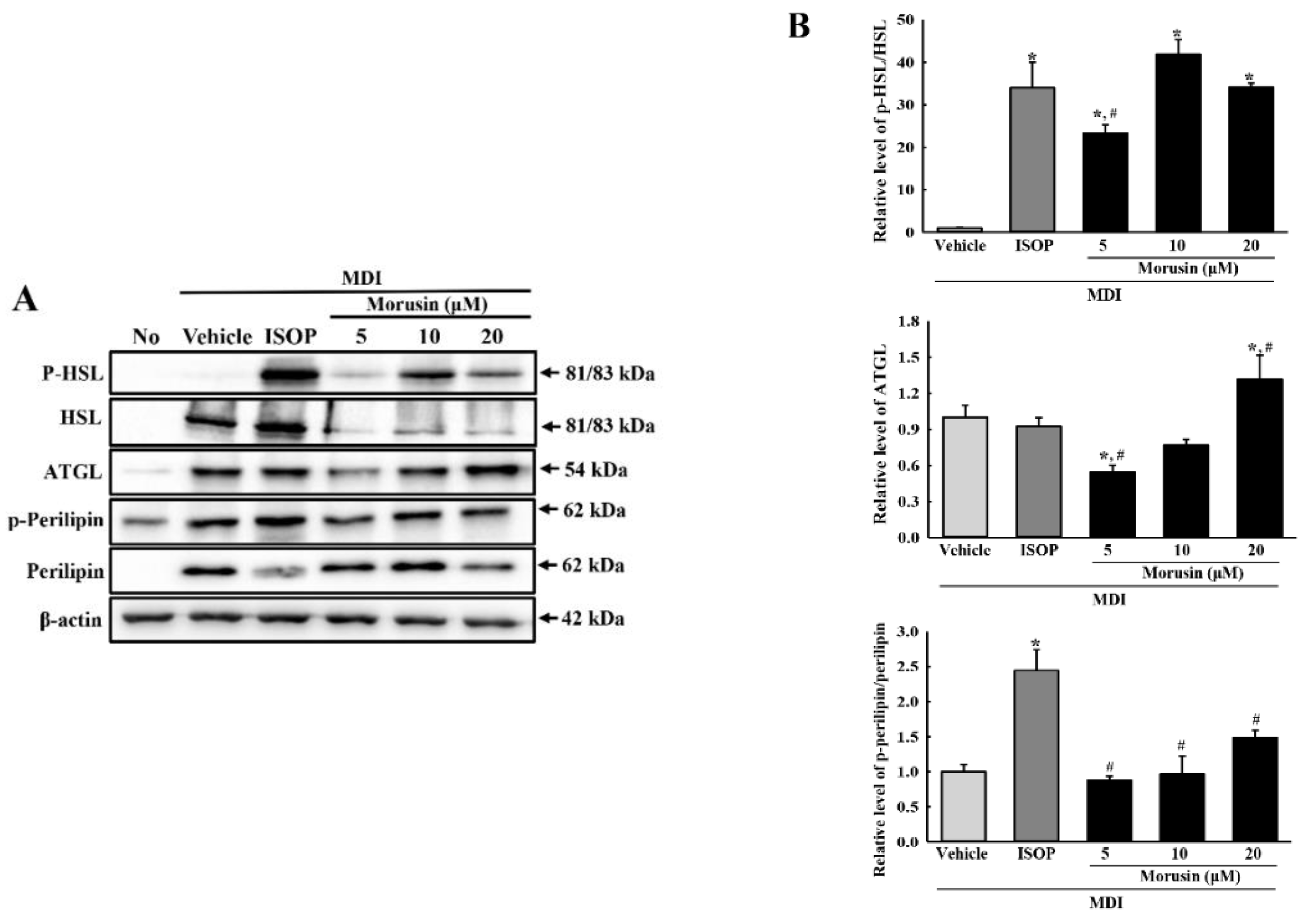 Molecules 23 02004 g006 Molecules 23 02004 g006