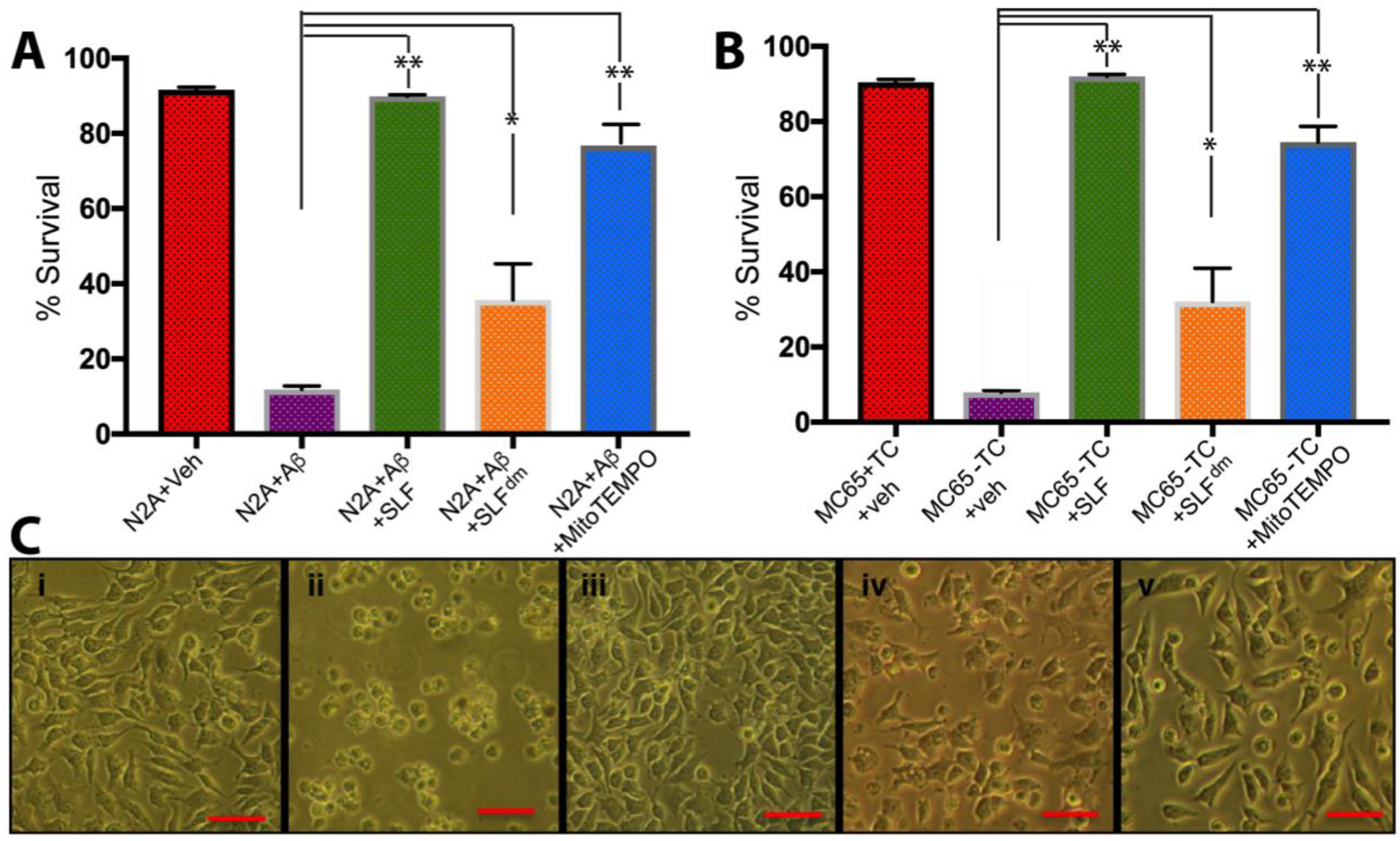 Molecules 23 02010 g002 Molecules 23 02010 g002