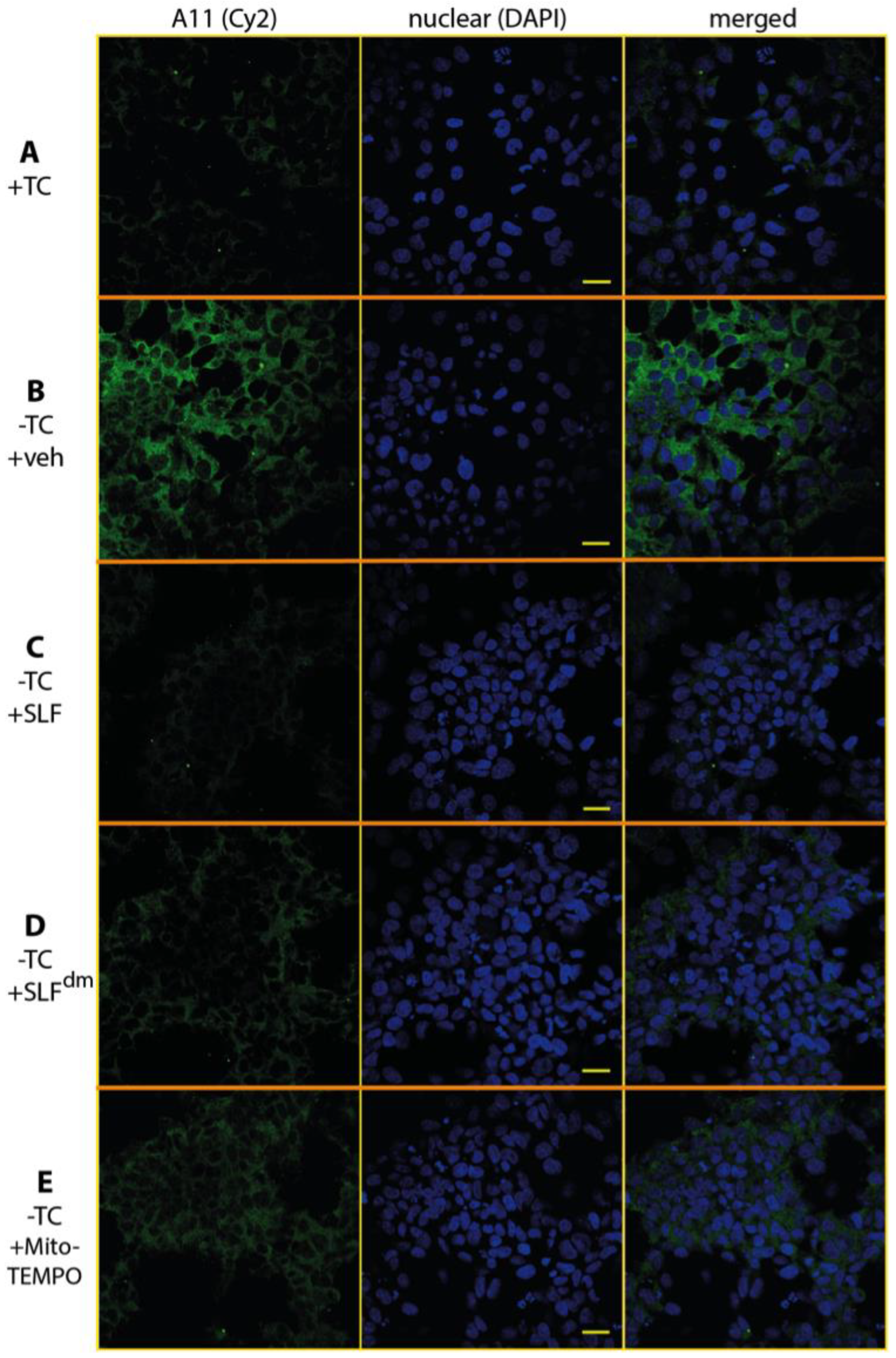 Molecules 23 02010 g008 Molecules 23 02010 g008