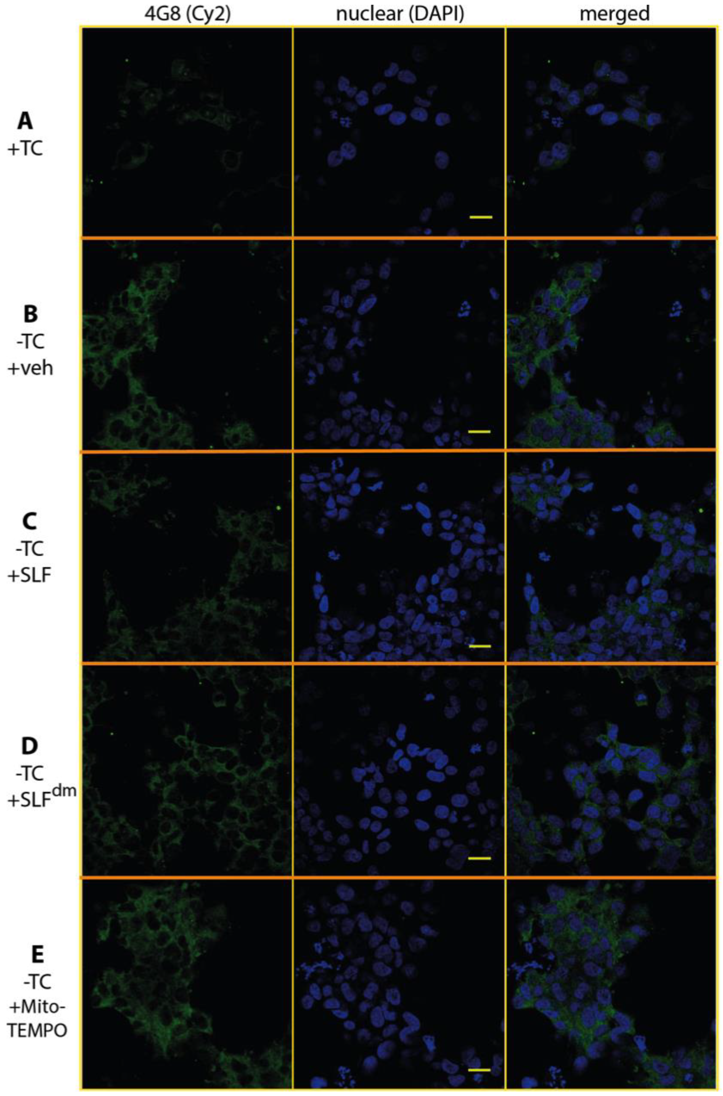 Molecules 23 02010 g010 Molecules 23 02010 g010