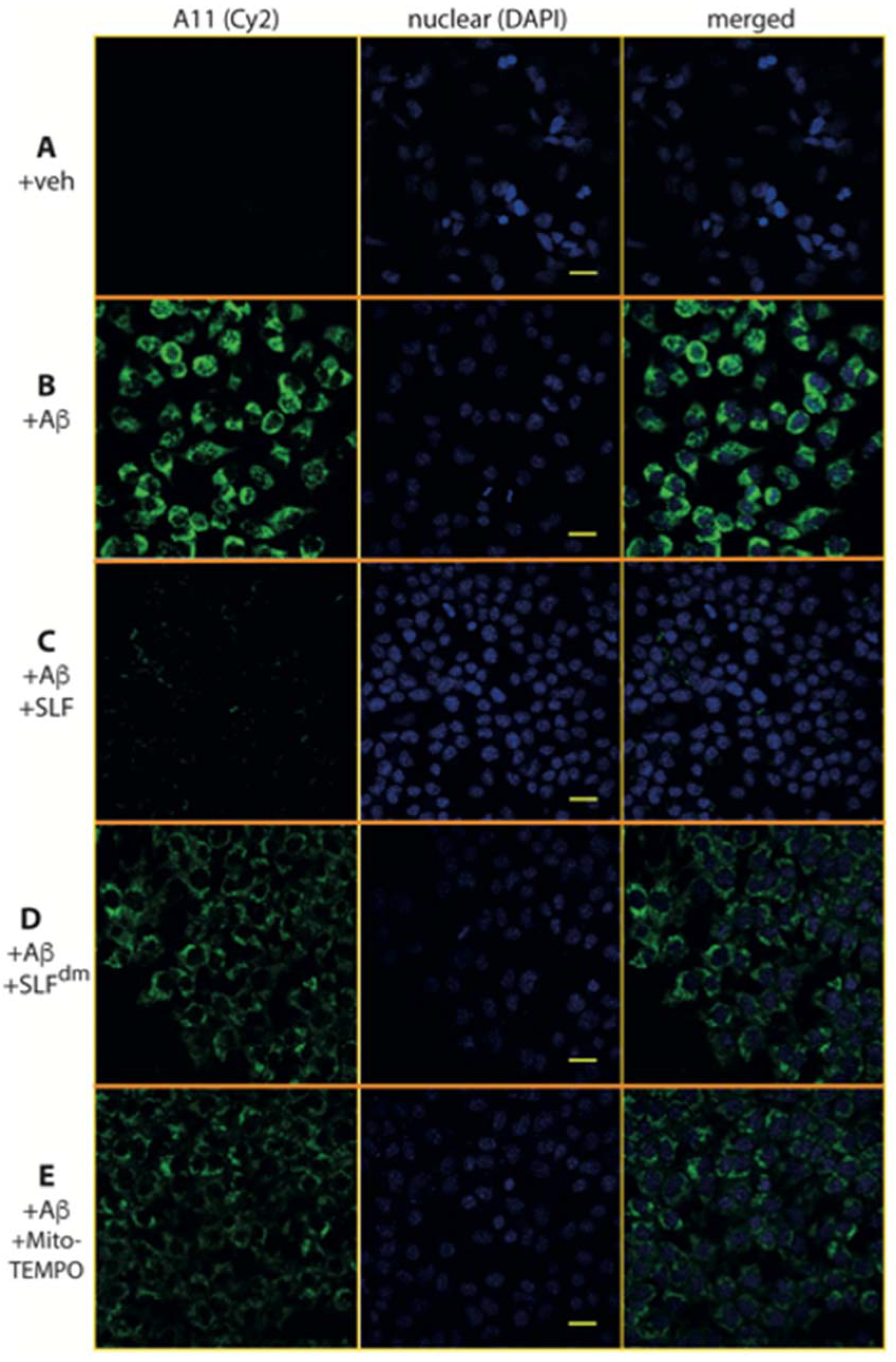 Molecules 23 02010 g012 Molecules 23 02010 g012