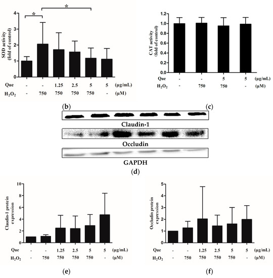 Effects of Quercetin on Proliferation and H2O2-Induced Apoptosis of ...