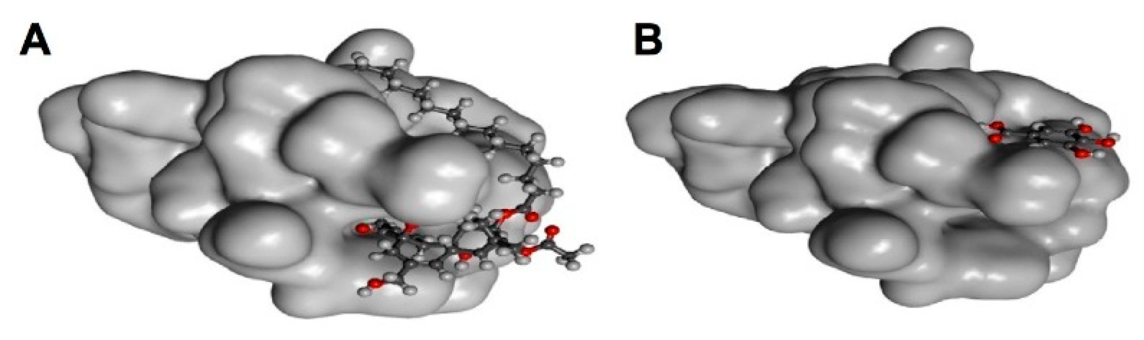 Molecules 23 02020 g004 Molecules 23 02020 g004