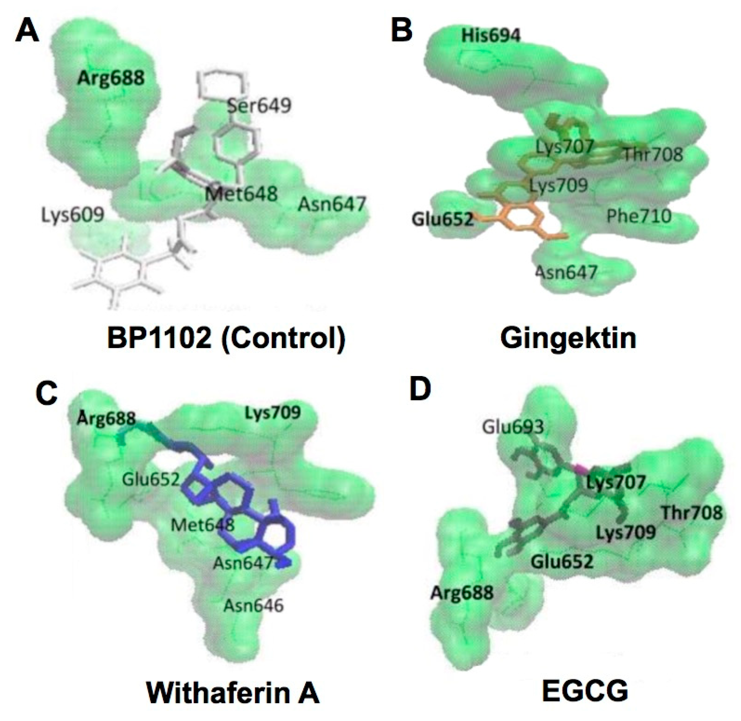 Molecules 23 02020 g006 Molecules 23 02020 g006