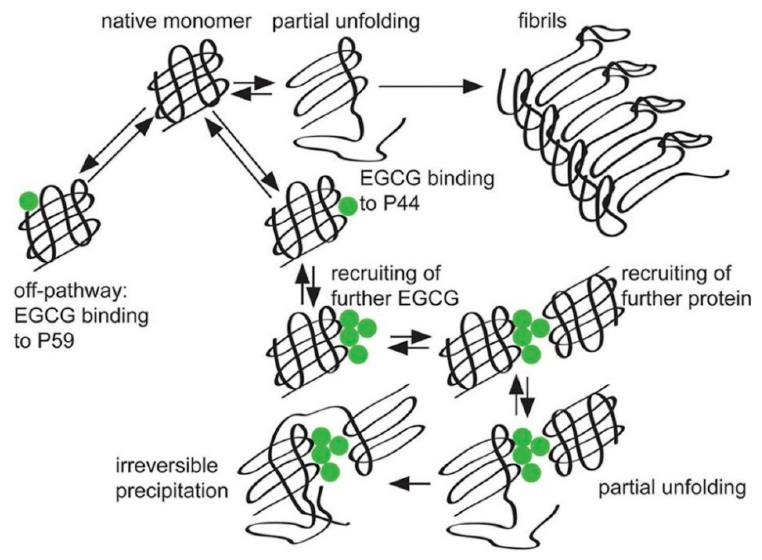 Molecules 23 02020 g007 Molecules 23 02020 g007