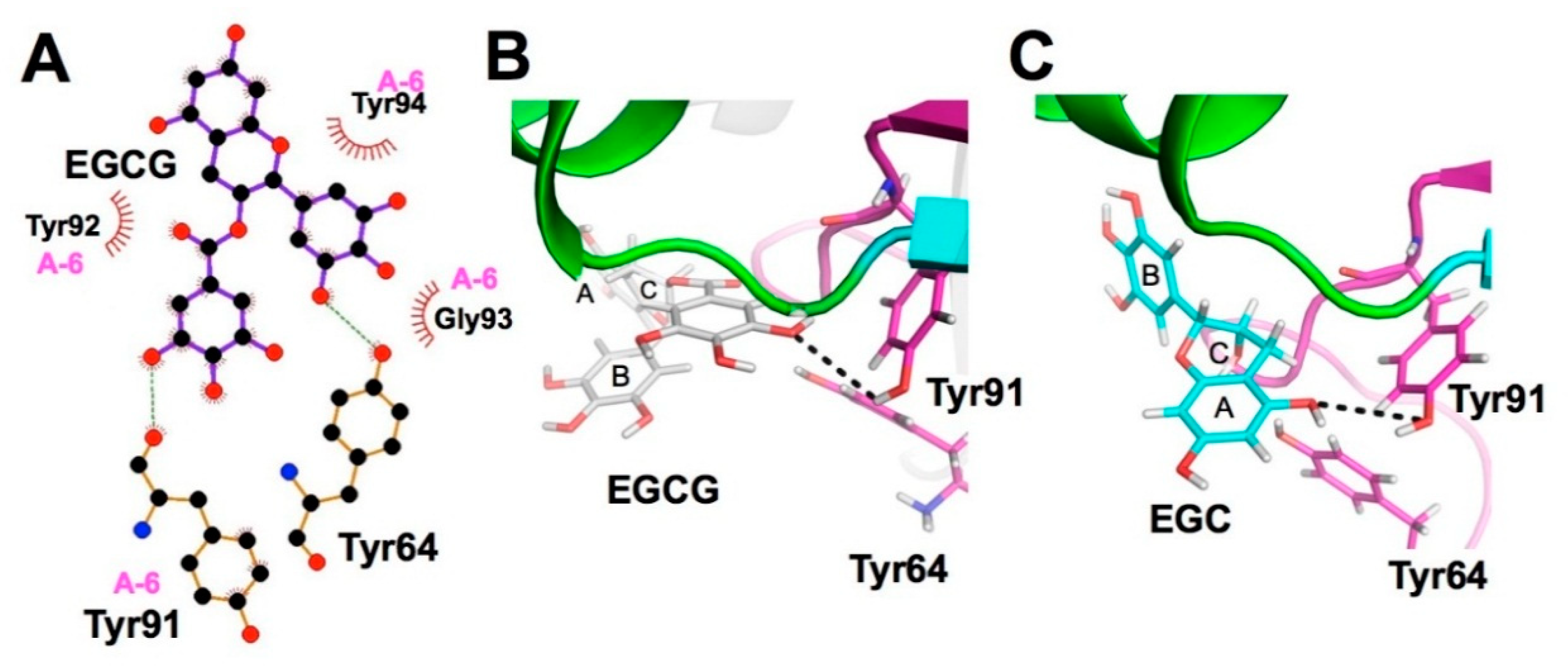 Molecules 23 02020 g008 Molecules 23 02020 g008