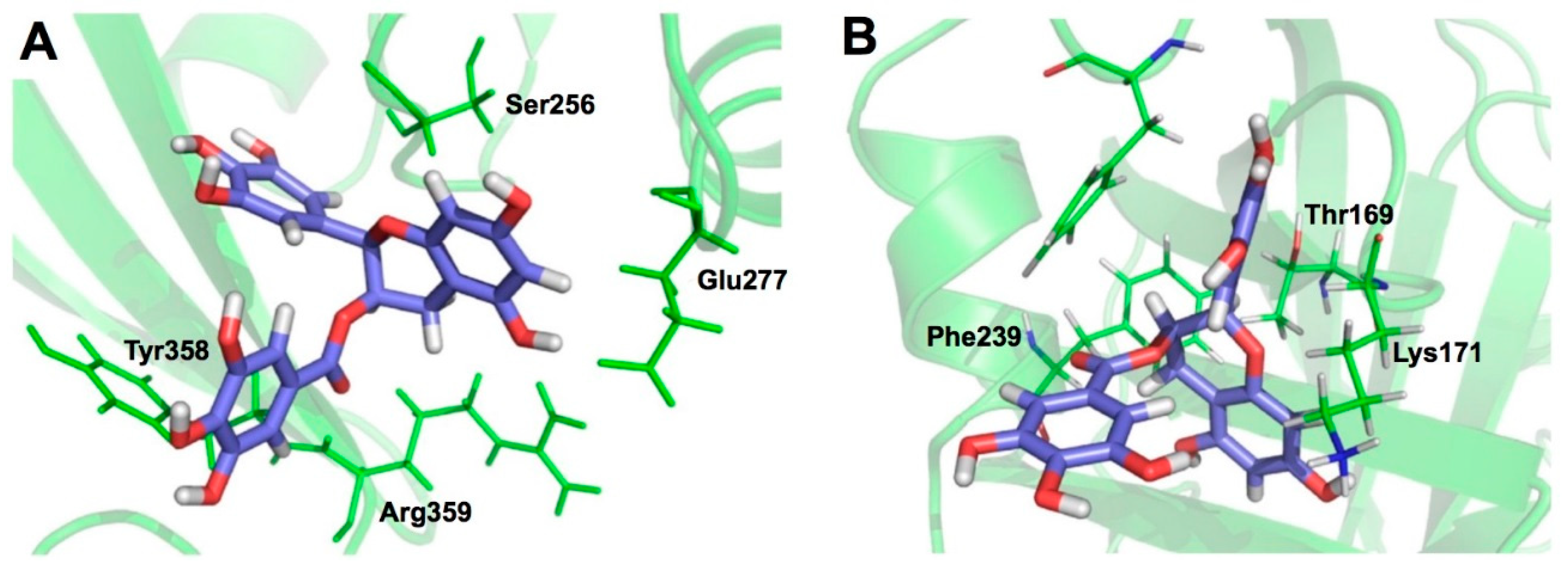 Molecules 23 02020 g009 Molecules 23 02020 g009
