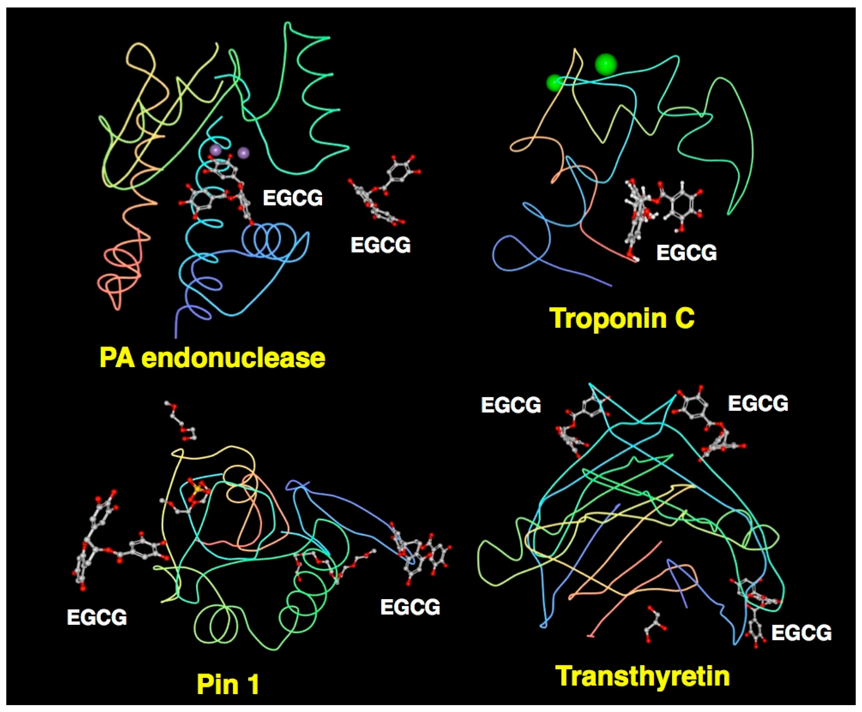 Molecules 23 02020 g011 Molecules 23 02020 g011