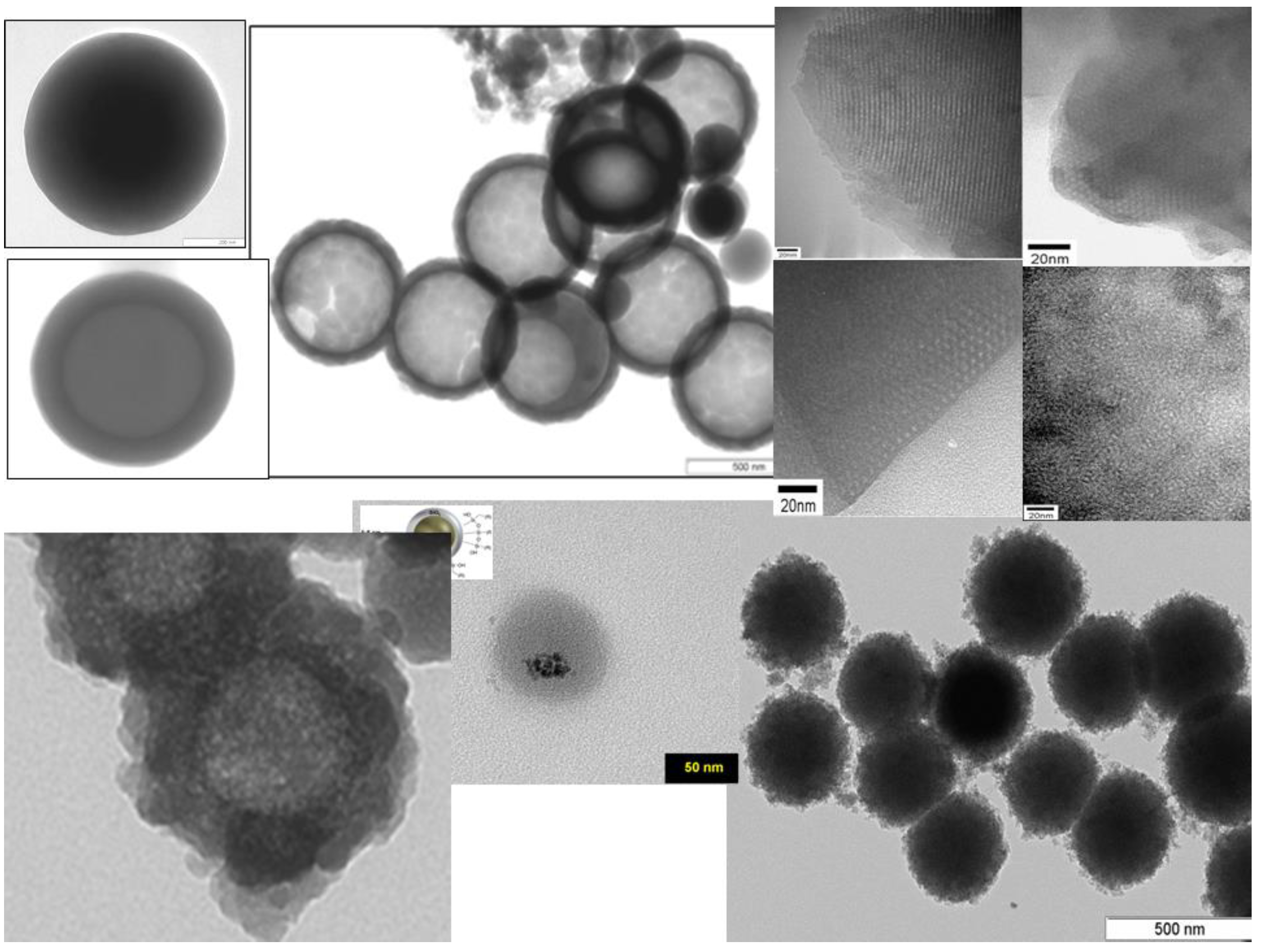 Molecules 23 02021 g010 Molecules 23 02021 g010