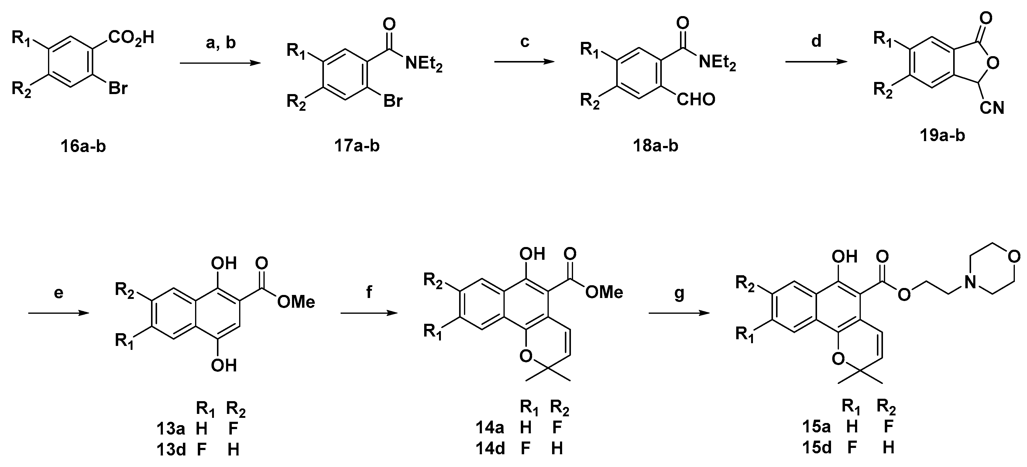 Molecules Free Full Text Cf3 Substituted Mollugin 2 4 Morpholinyl Ethyl Ester As A Potential Anti Inflammatory Agent With Improved Aqueous Solubility And Metabolic Stability Html