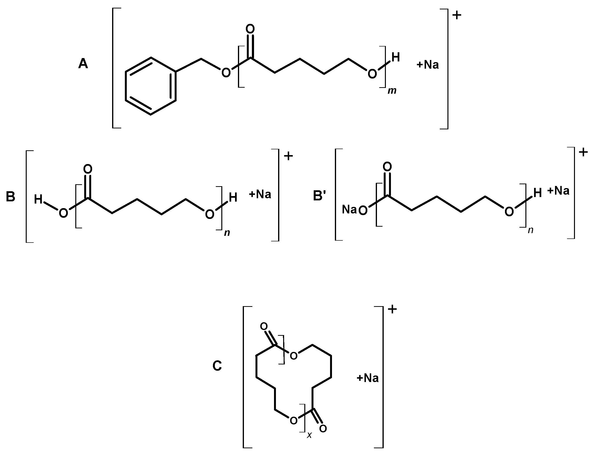 Molecules 23 02034 g003