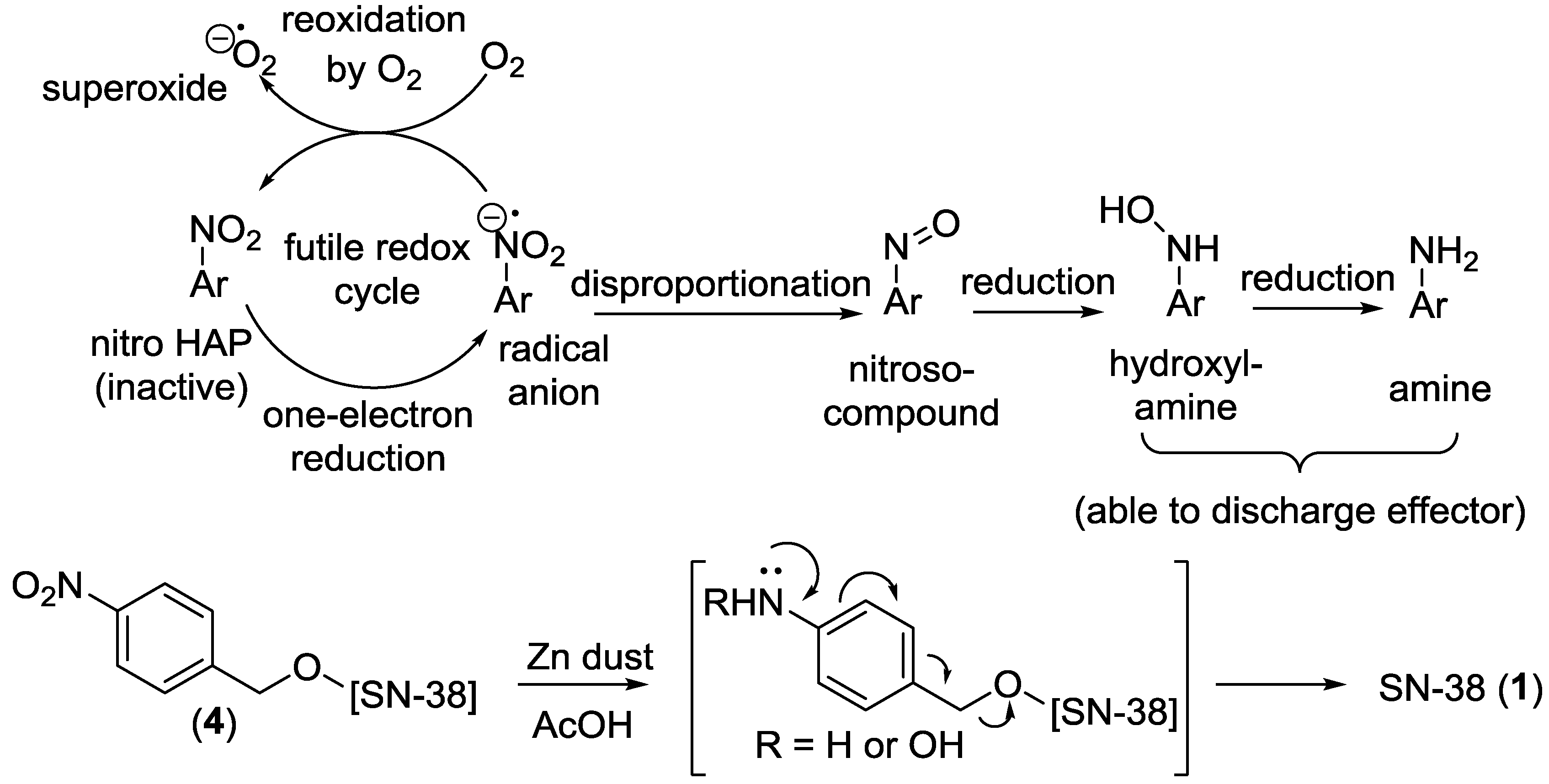 Molecules 23 02041 g005