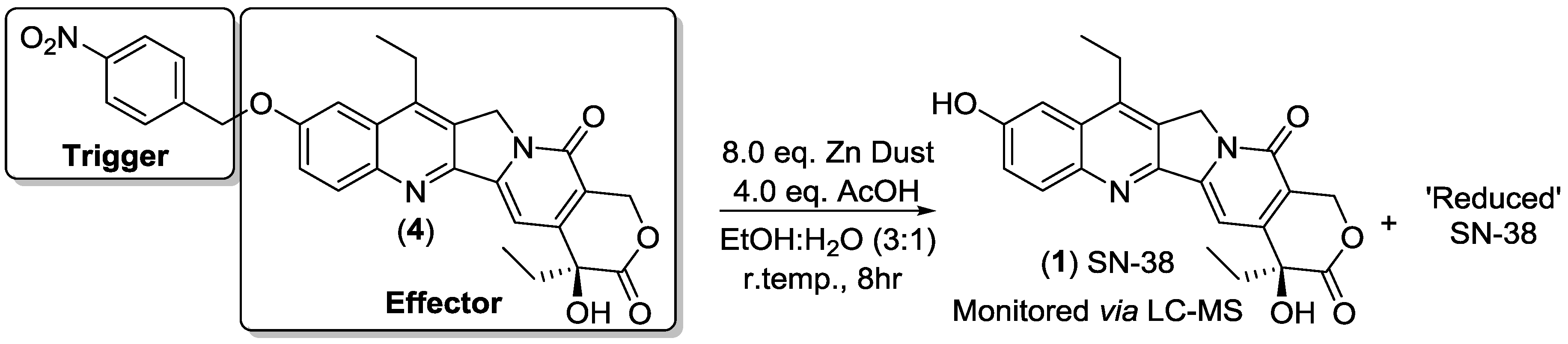 Molecules 23 02041 sch002